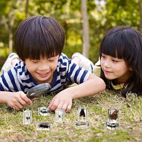 Miniatura 5 de Woanger 10 piezas de insectos en espécimen de resina de insectos en resina colección de insectos, pisapapeles divertidos animales de resina