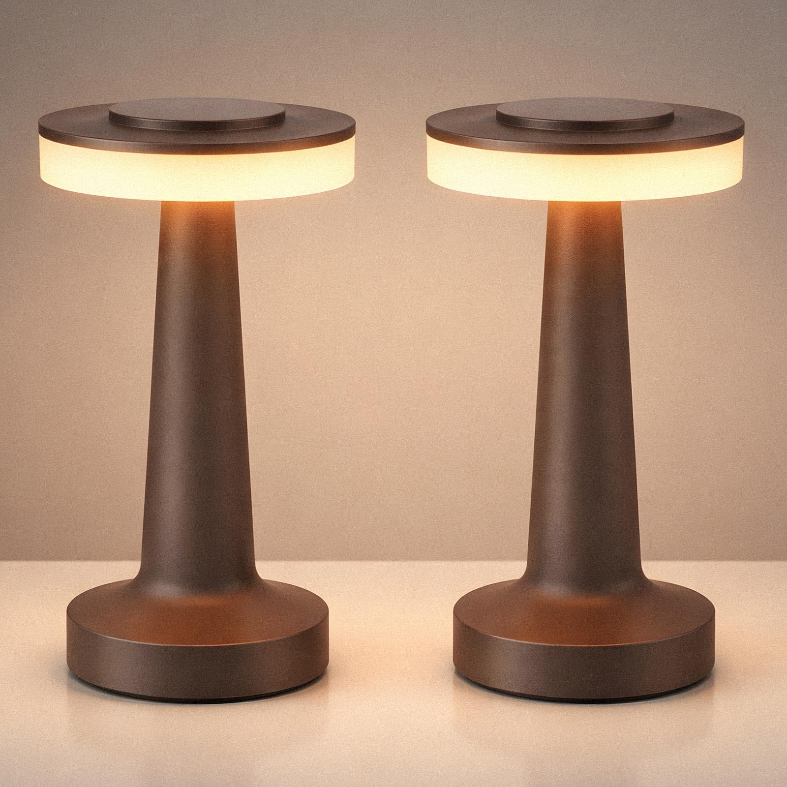Riakrum 2 Pcs LED Cordless Table Lamp Bulk Rechargeable,Brown