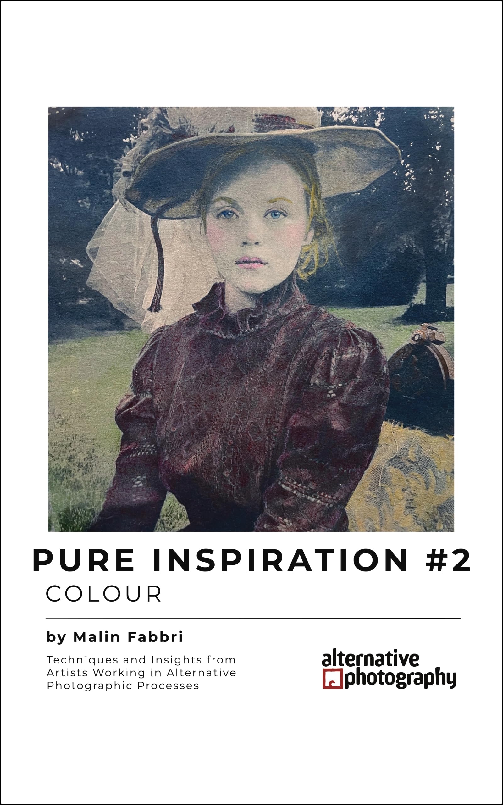 Alternative photographic processes livre pure inspiration colour techniques platine