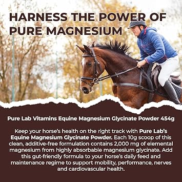 Pure Lab Vitamins Equine Magnesium Glycinate Powder 454 g