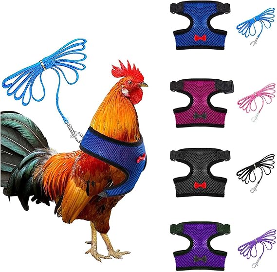 4-Pack Adjustable Chicken Harness with Leash - Complete Review and Analysis