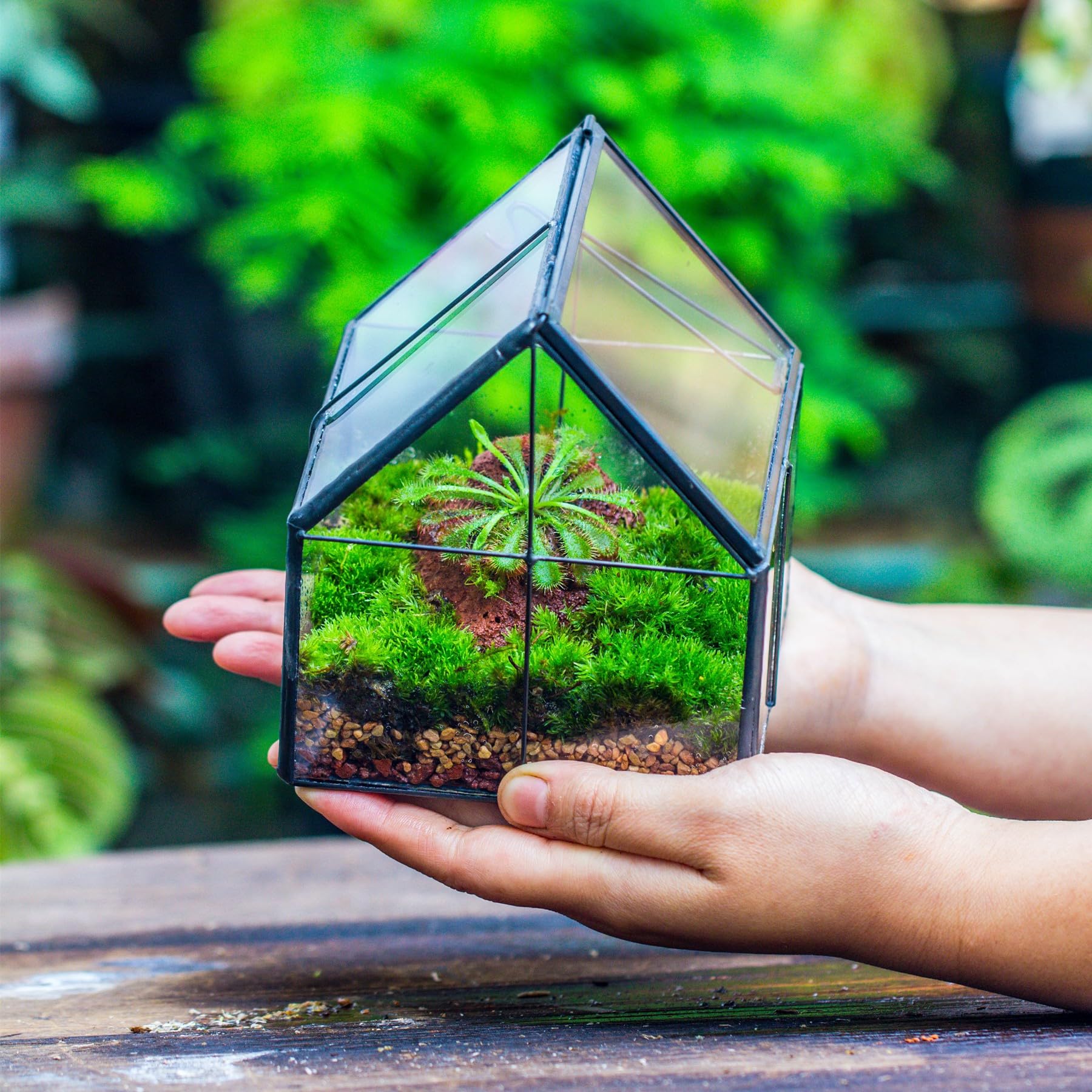 NCYP 10,8x10,8x12,5 cm Mini Noir Terrarium Géométrique en verre avec couvercle Fait à la main, Pour petites plantes succulentes, Décoration de table pour la maison jardin bureau (Terrarium Uniquement)