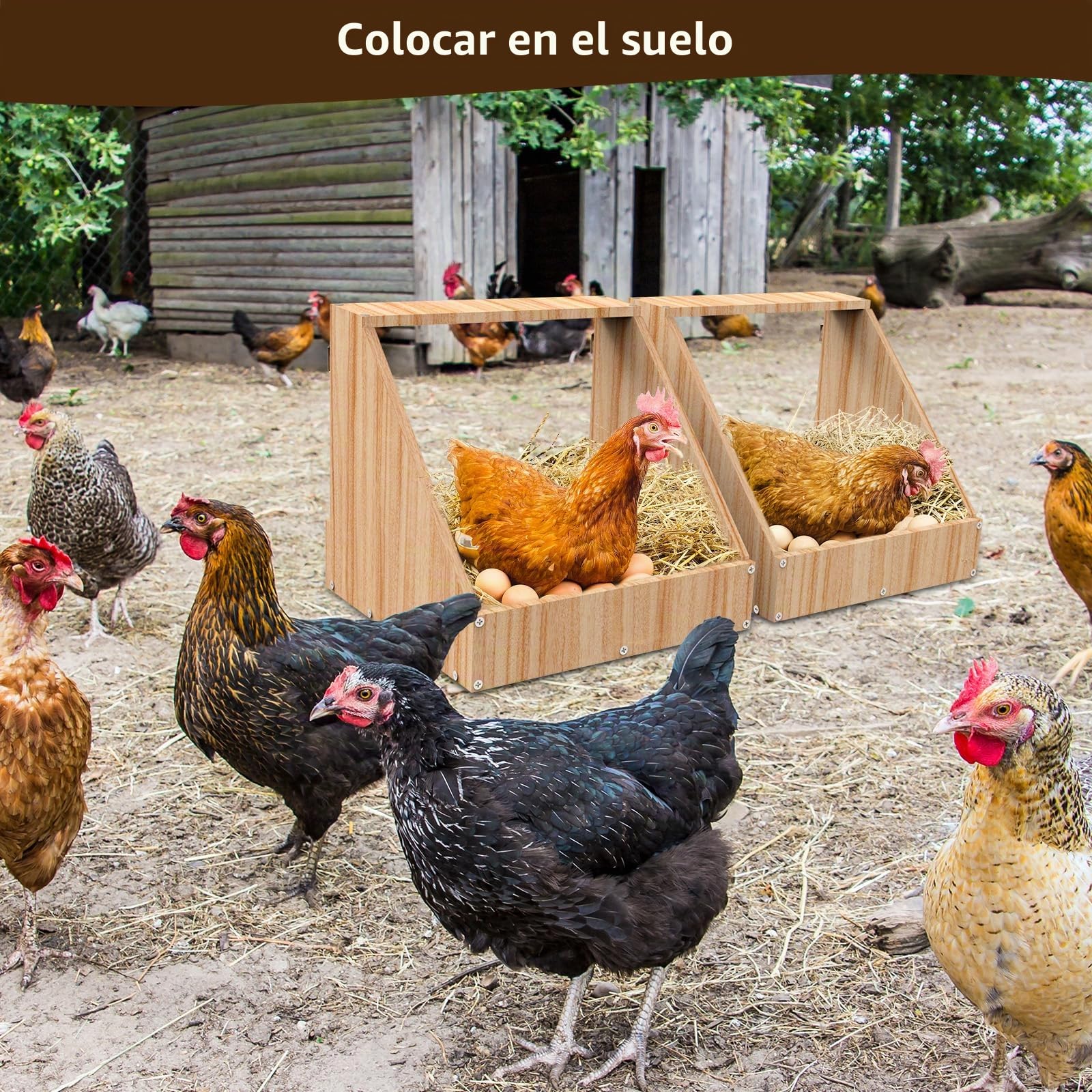 Ponederos para Gallinas, Juego de 2 Cajas para Gallinero de Madera para Poner Huevos, Nidos de Pollo para Gallinas y Patos, 35,3 x 35,3 x 34,2 cm