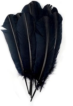 Zucker - Selected Turkey Quills by Pound - Bulk Feathers for Crafting, Decoration, Home Decor, Holiday Decorating, Weddings and Events, Cosplay, Costumes - Left Wing Feathers - Black
