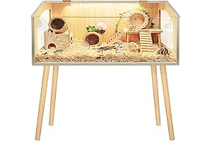 Upscale Hamster Oasis: Spacious Habitat with Elevated Perch