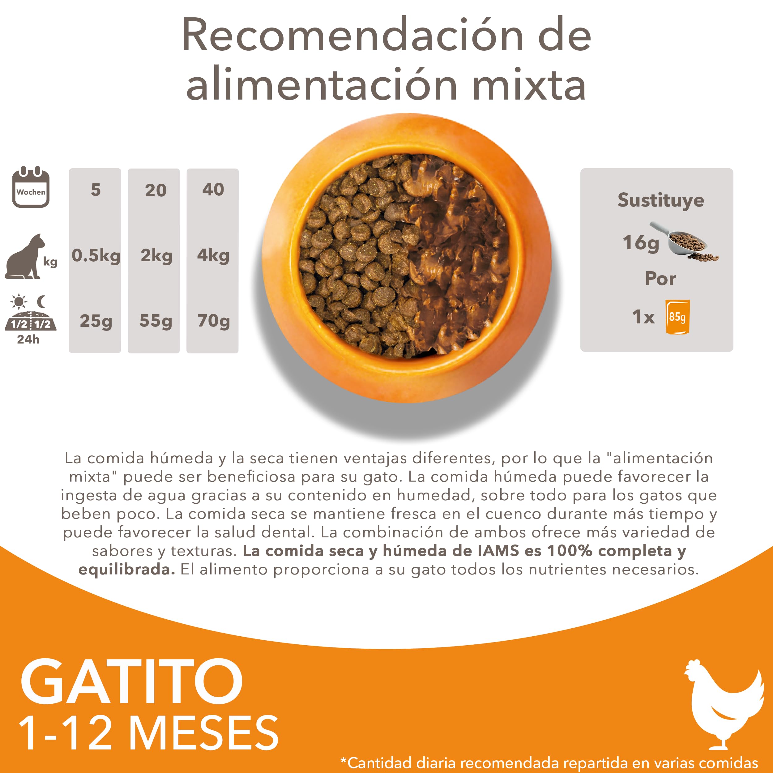 IAMS Alimento seco para gatitos junior de 1-12 meses con pollo fresco, 3 kg