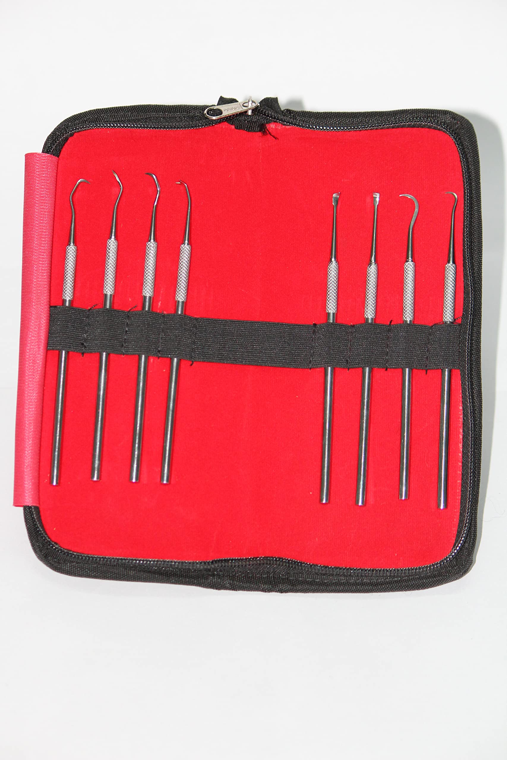 Forgesy Dental Scaler Set (8 Pcs.) With kit Bag-image-42