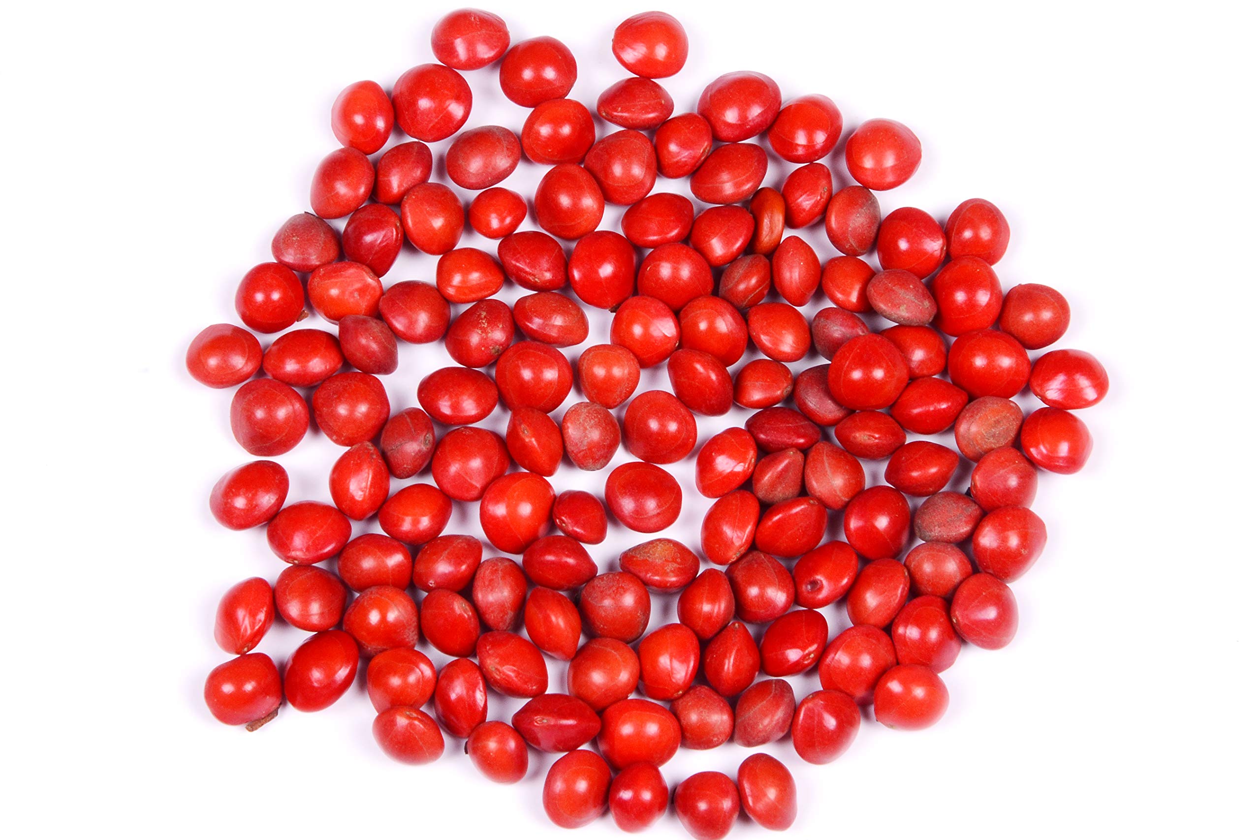 RK Seeds - Adenanthera pavonina seeds - Coral-wood - Red wood - Coral wood - Peacock flower fence - Red beadtree seed - 100 gm (B07NK56LK8) Amazon Price History, Amazon Price Tracker