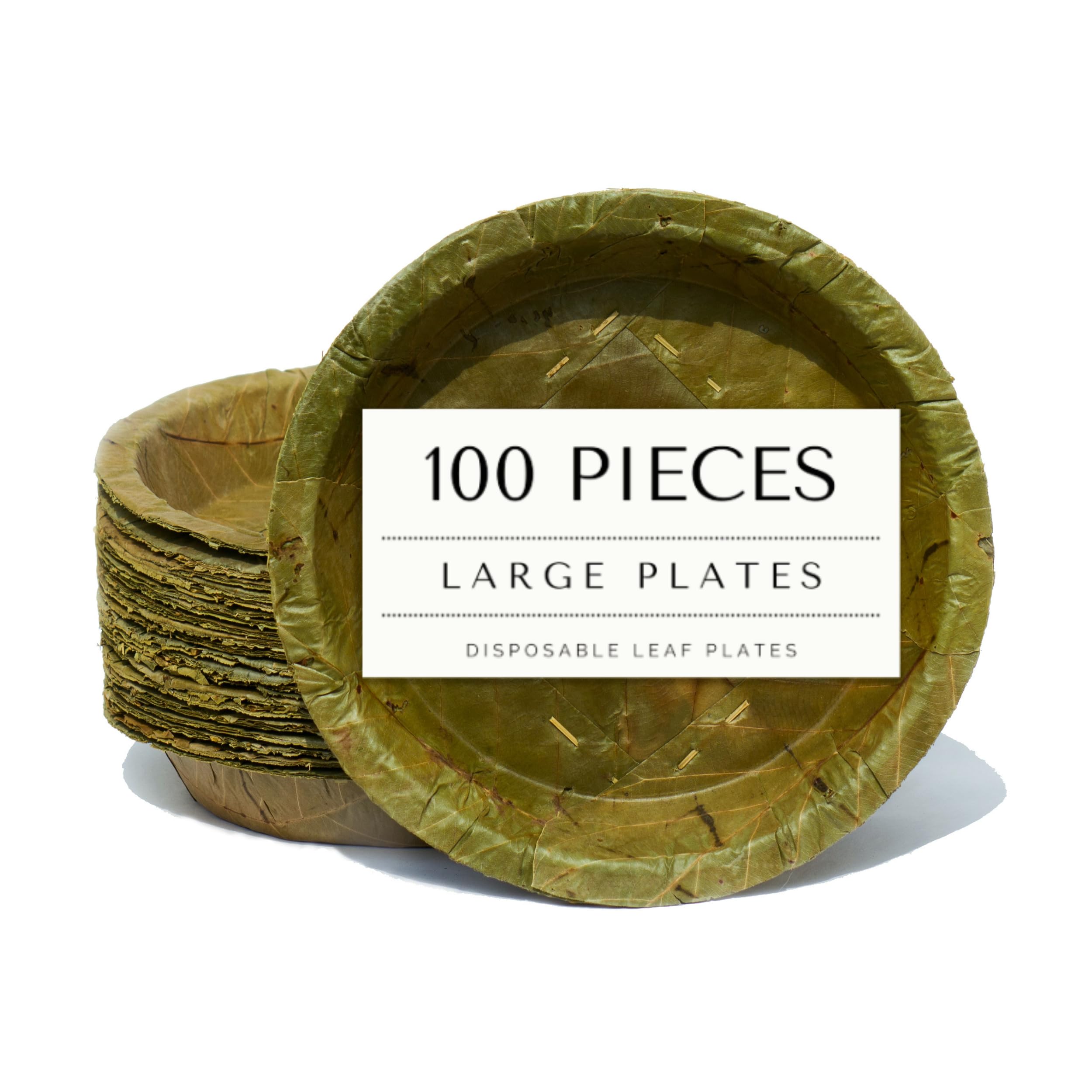 Tapari, piatti usa e getta grandi, 100 pezzi, diametro 23 cm, 800 ml, piatti usa e getta grandi, 100% compostabili, piatti usa e getta naturali per catering ed eventi aziendali, confezione da 100