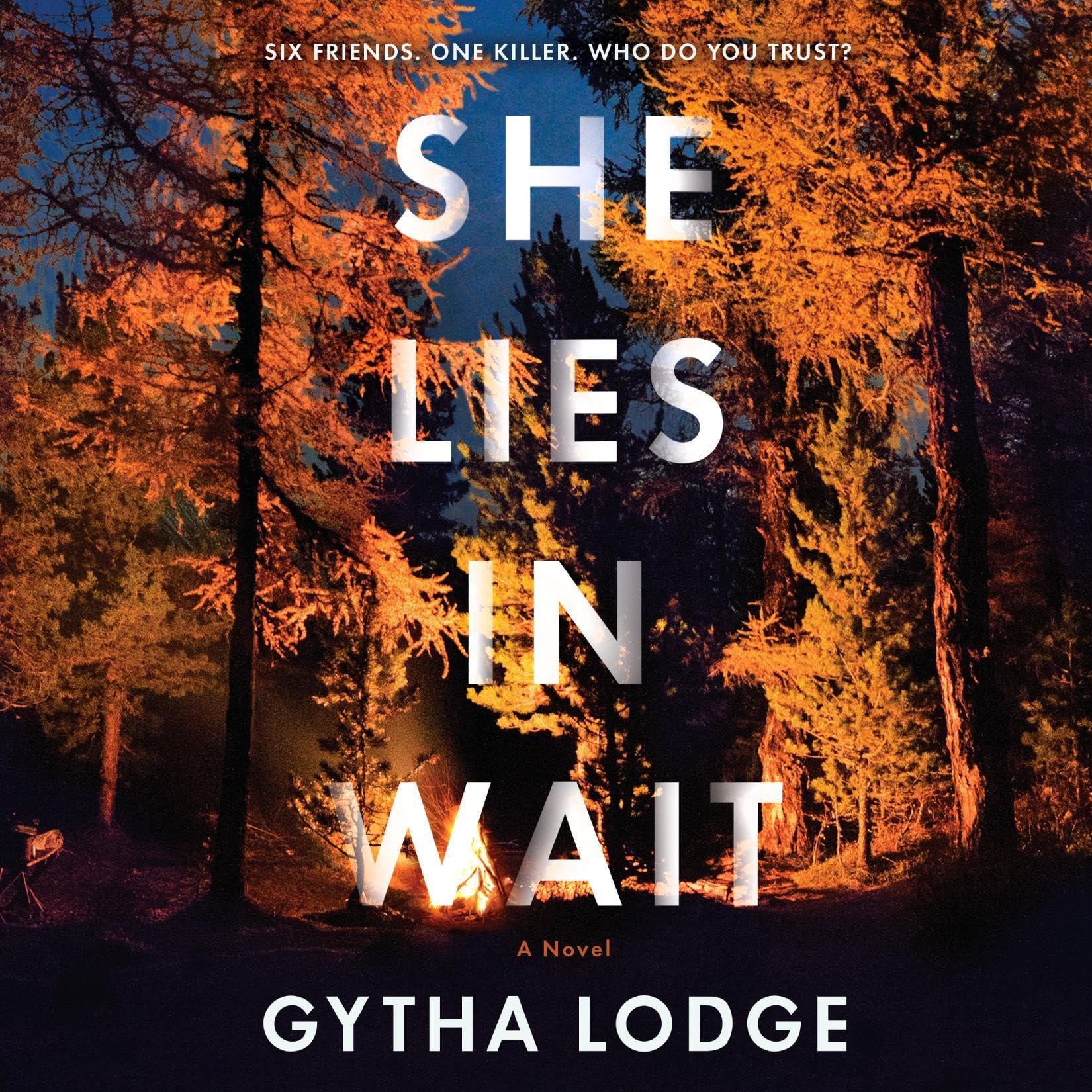 Cover art for She Lies in Wait