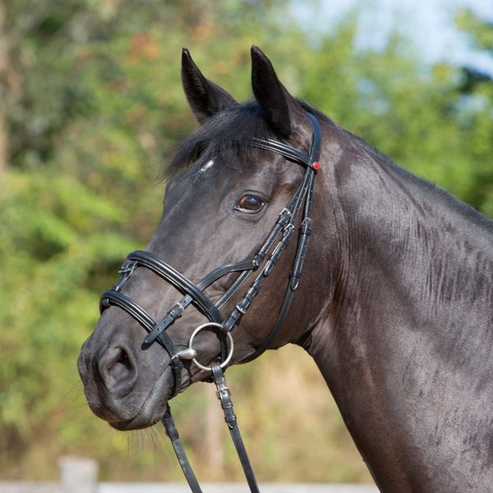 Kieffer Testiera Multifunzionale Kieffer