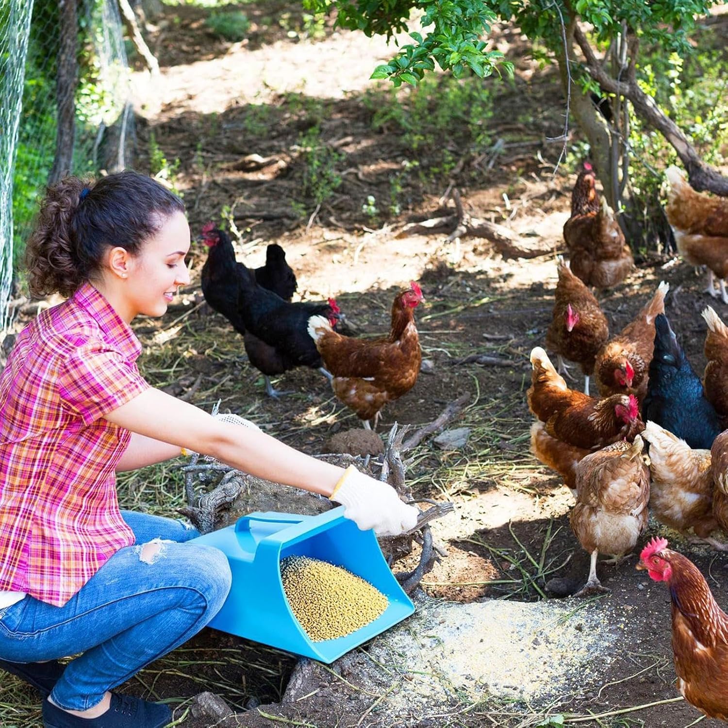 Grain Scoop – 128oz Enclosed Bucket Shovel with Side Handle, Feed Grain for Birds, Horses, Goats, Sheep, Cattle, and Livestock, Ideal for Farm, Ranch, Restaurant, Efficient Animal Feeding Tool