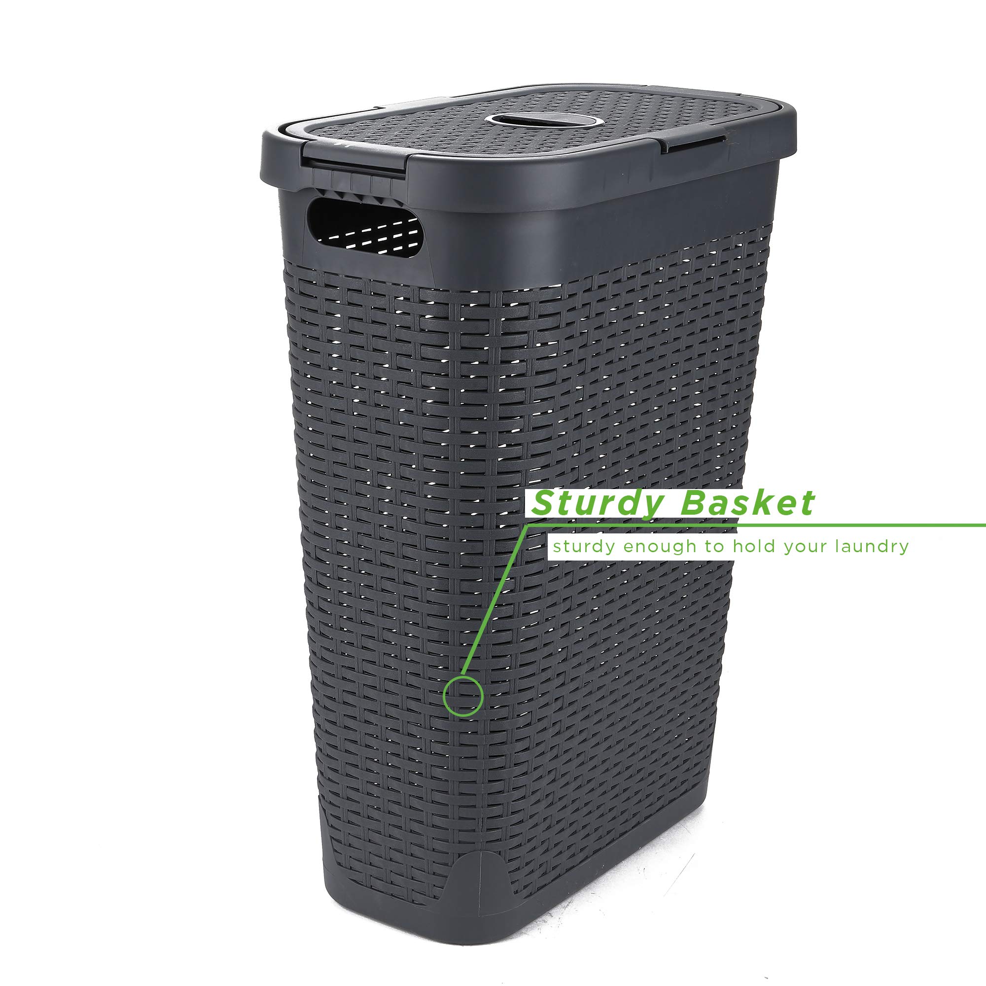 https://m.media-amazon.com/images/I/81o0plGJ00L.jpg