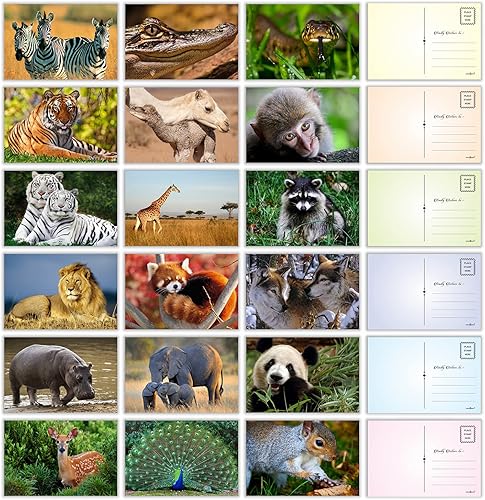 Vista 10 de PARTH iMPEX Juego de postales de 63 parques nacionales de Estados Unidos, pósteres de viaje vintage, kit de collage estético de pared, tarjetas