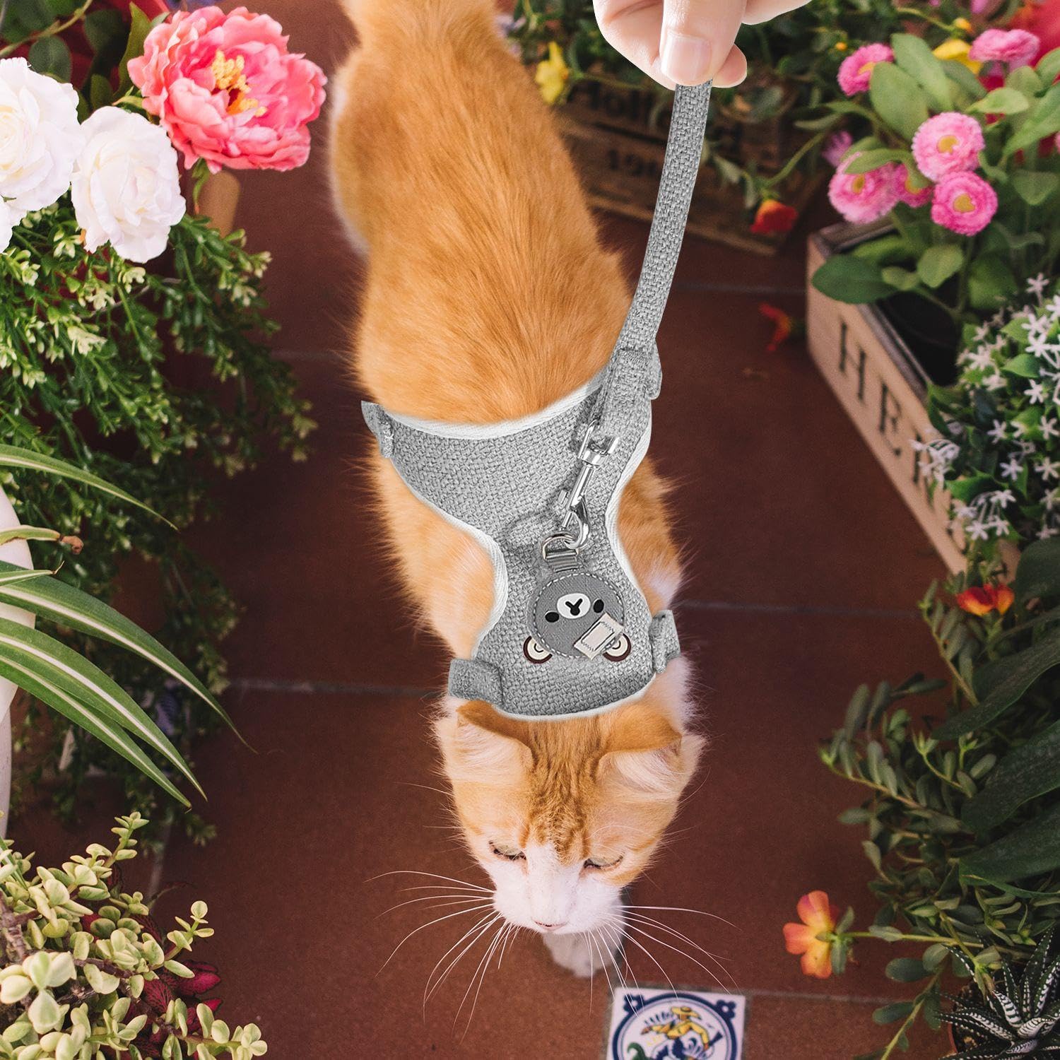 1 Pezzo di Guinzaglio per Conigli, Guinzaglio da Viaggio per Piccoli Animali Domestici, Simpatico Pettorale in Stile Gilet da Cartone Animato, Gatti E Altri Animali Domestici Che Escono.