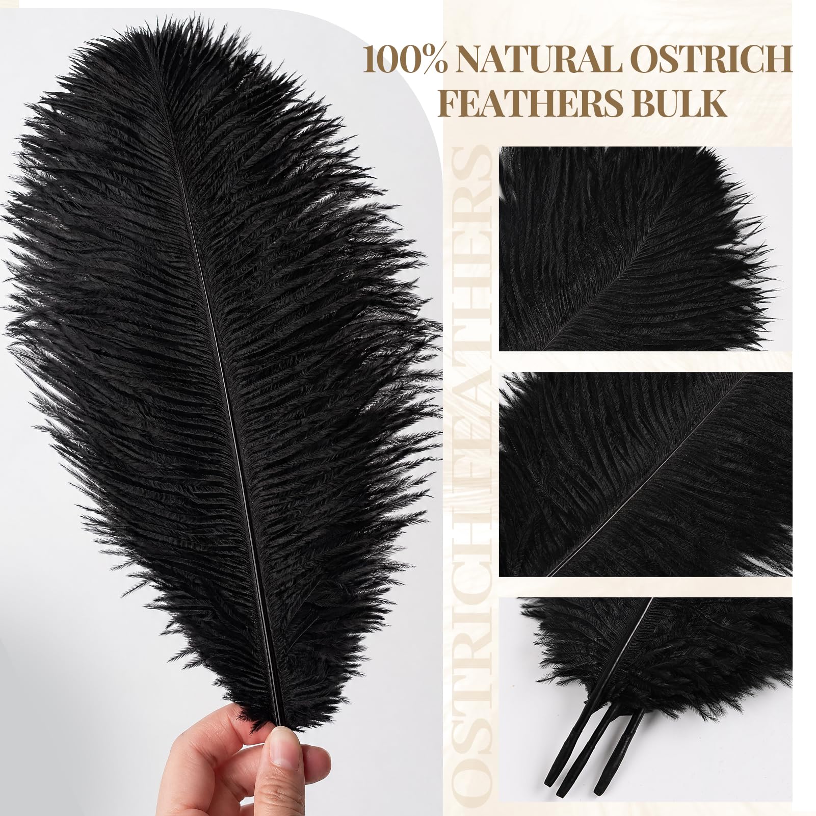 Piume di struzzo nere naturali, confezione da 40, 35,6-40,6 cm, 30,5-35,6 cm (20 pezzi ciascuna), per fai da te, vasi, artigianato, matrimoni, feste, centrotavola, decorazioni natalizie