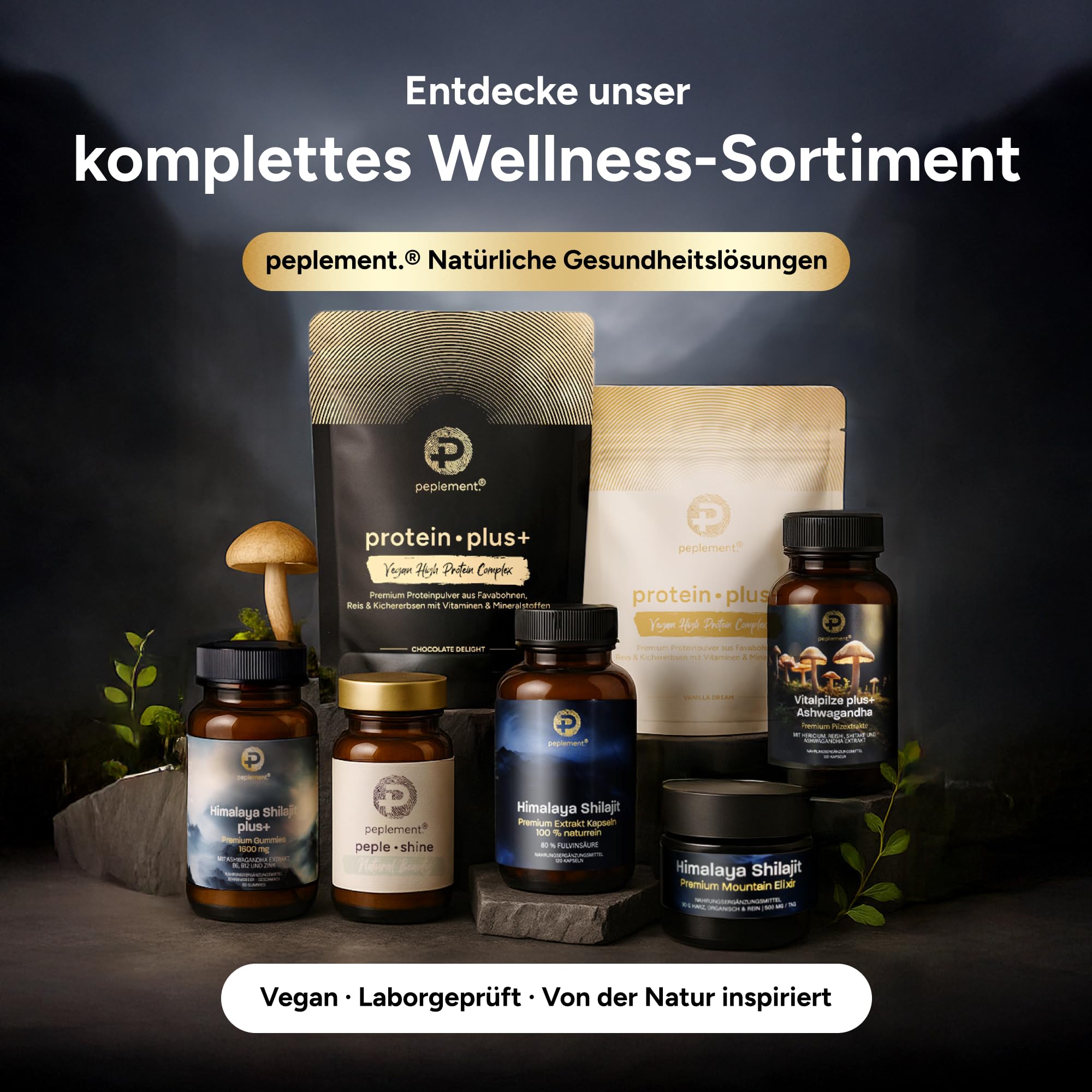 Himalaya Shilajit Plus+ Premium Gummies — 1600 mg | 60 Stück (Mumijo) Shilajit Gummi mit natürlicher Huminsäure, Fulvinsäure und Mineralstoffen, mit Ashwagandha Extrakt, B6, B12 und Zink
