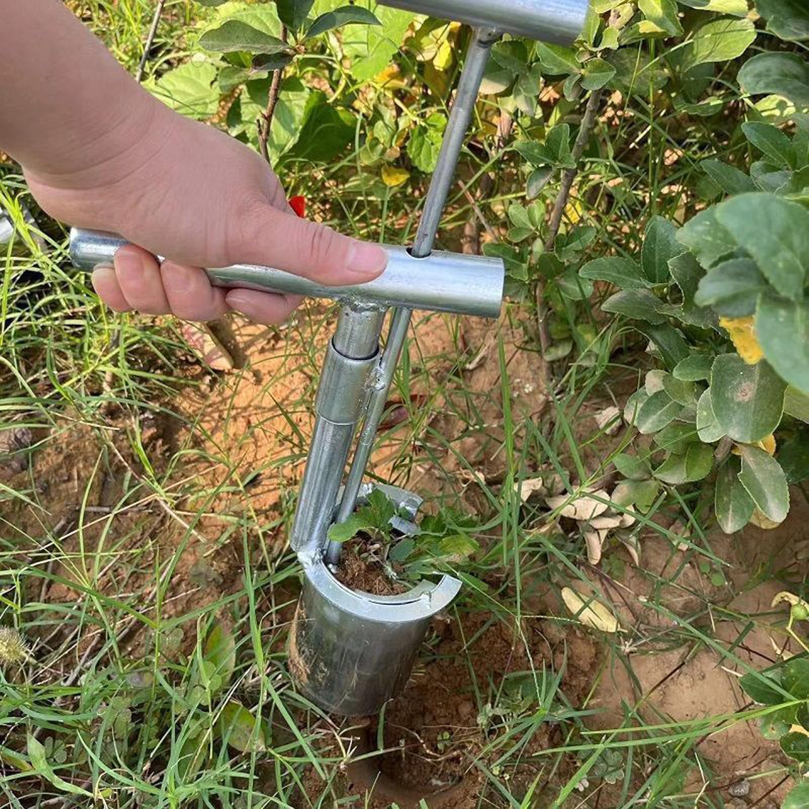 Outil de transplantation portable en acier inoxydable avec long manche, convient pour pelouse et jardin