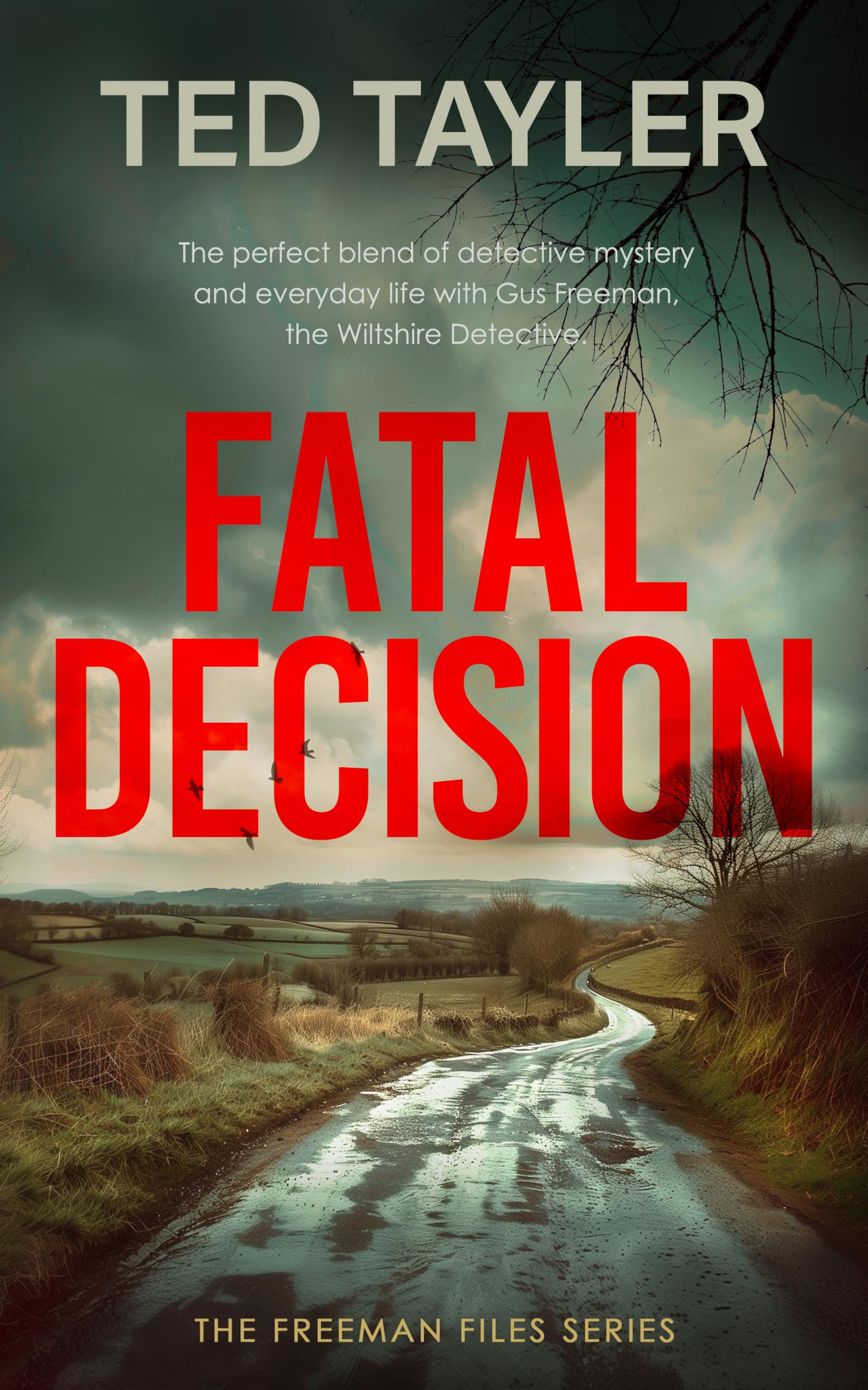 Fatal Decision (The Freeman Files Book 1)