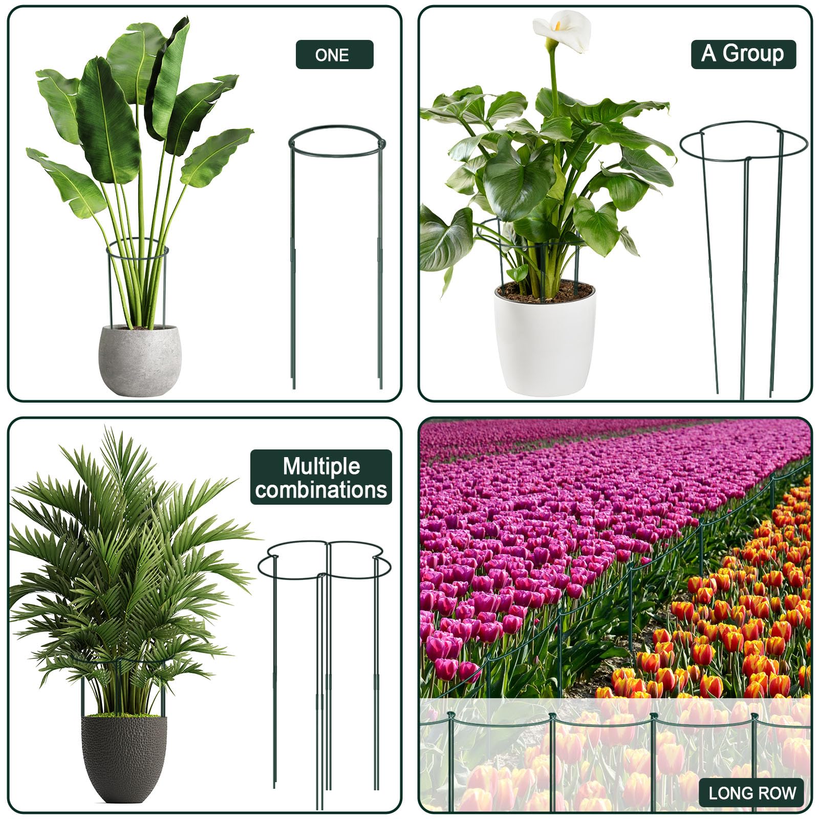 Paquete de 12 estacas de soporte para plantas de 25 cm de ancho x 80 cm de alto, jaulas de peonía grandes y soportes, soportes de anillo de peonía altos, estacas de plantas de jardín para plantas al