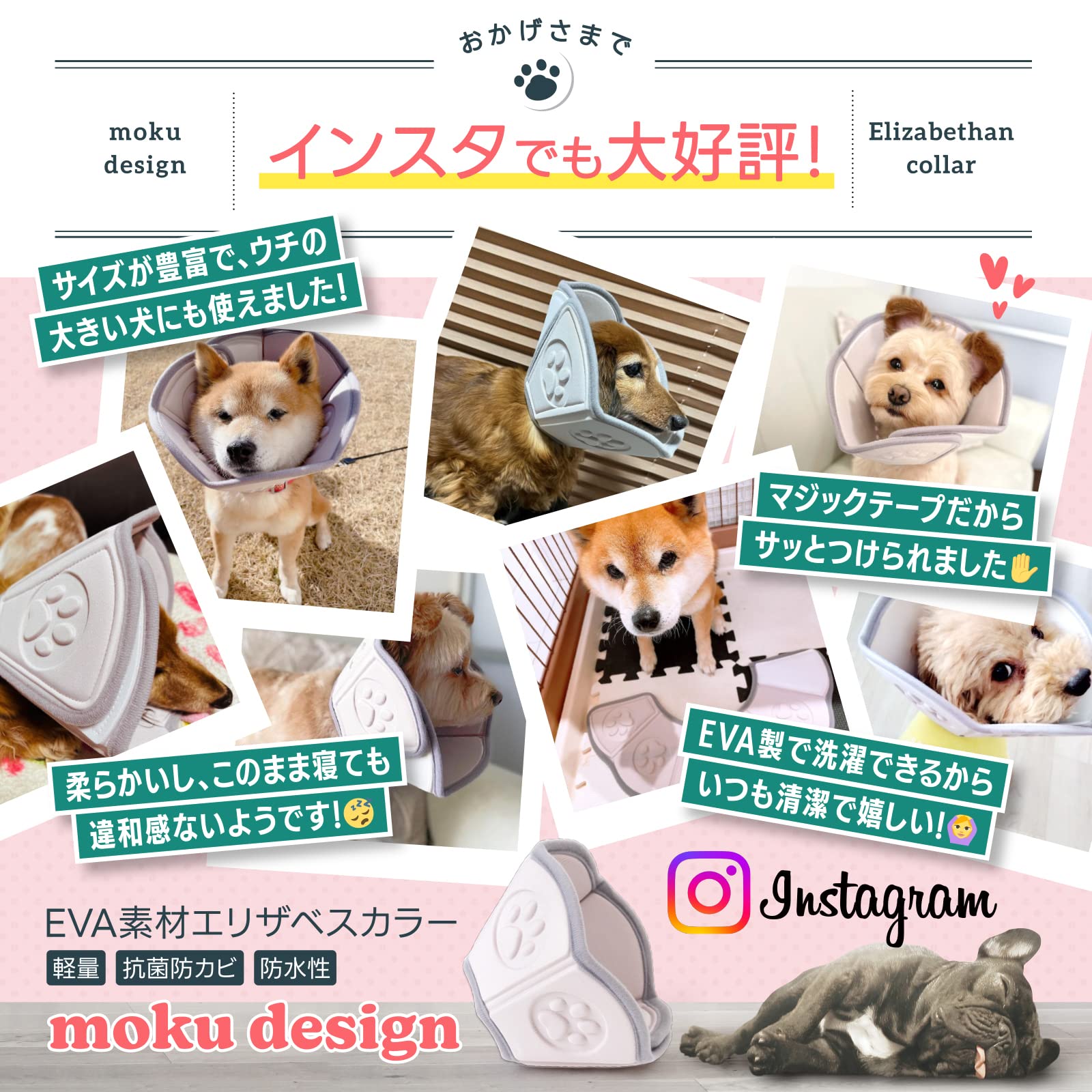 Amazon | 【ペットのプロ監修 X S N Sでも話題】 エリザベス