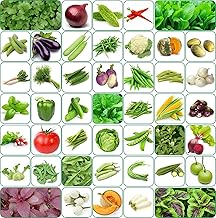 Aero Seeds Vegetable Seeds Bank For Home Garden 45 Varieties - 2580+ Seeds