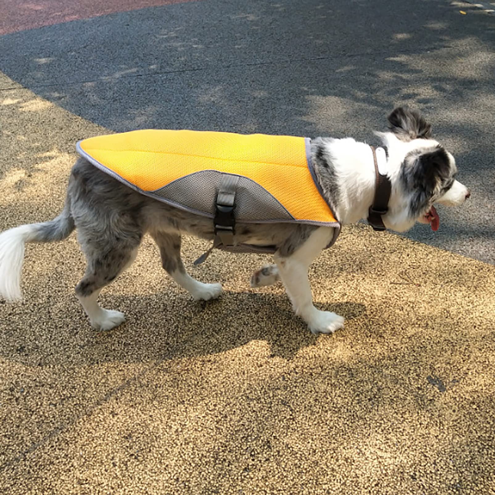 CUTTE Kühlweste für Hunde, Atmungsaktiv Leicht für Sommer-Hundebekleidung Mesh-Eisweste Zum Gehen, Laufen mit Hoher Sichtbarkeit,Orange,S