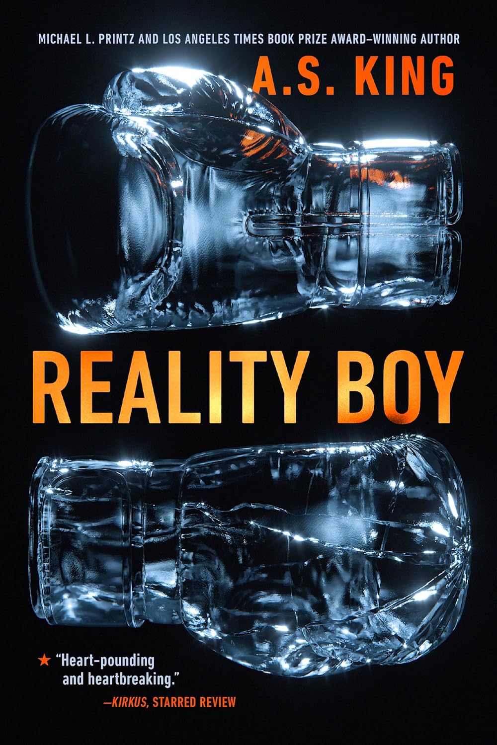 Reality Boy      Kindle Edition
