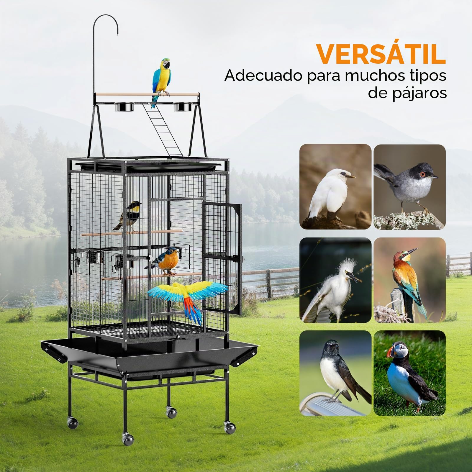 LEADZM - Jaula para pájaros con escalera superior y doble cuenco de alimentación, resistente y duradera, con 5 posiciones de alimentación, 83 x 78 x 210 cm
