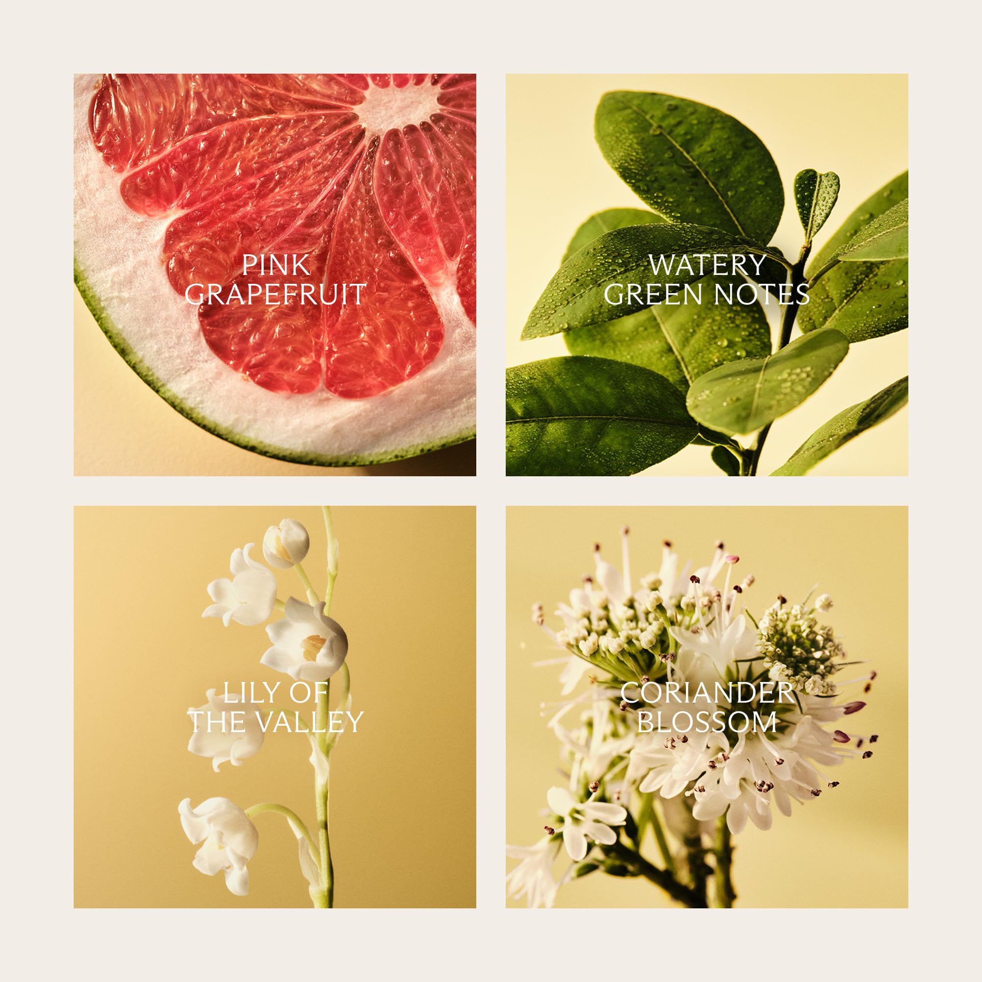 NEST New York Vela perfumada decorativa de 3 mechas, pomelo, 601 g