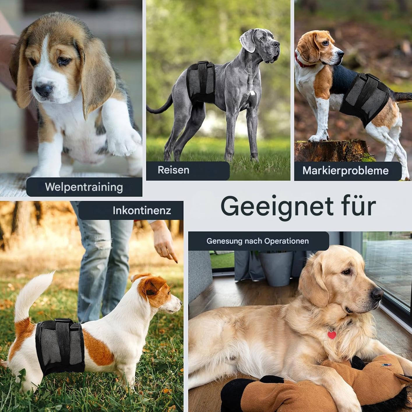 3PC Rüdenwindeln – Wiederverwendbare & waschbare Bauchbänder für Hunde, atmungsaktives Air-Mesh-Gewebe; für Hunde & Welpen bei Inkontinenz, Aufregungsurinieren und beim Training (L)