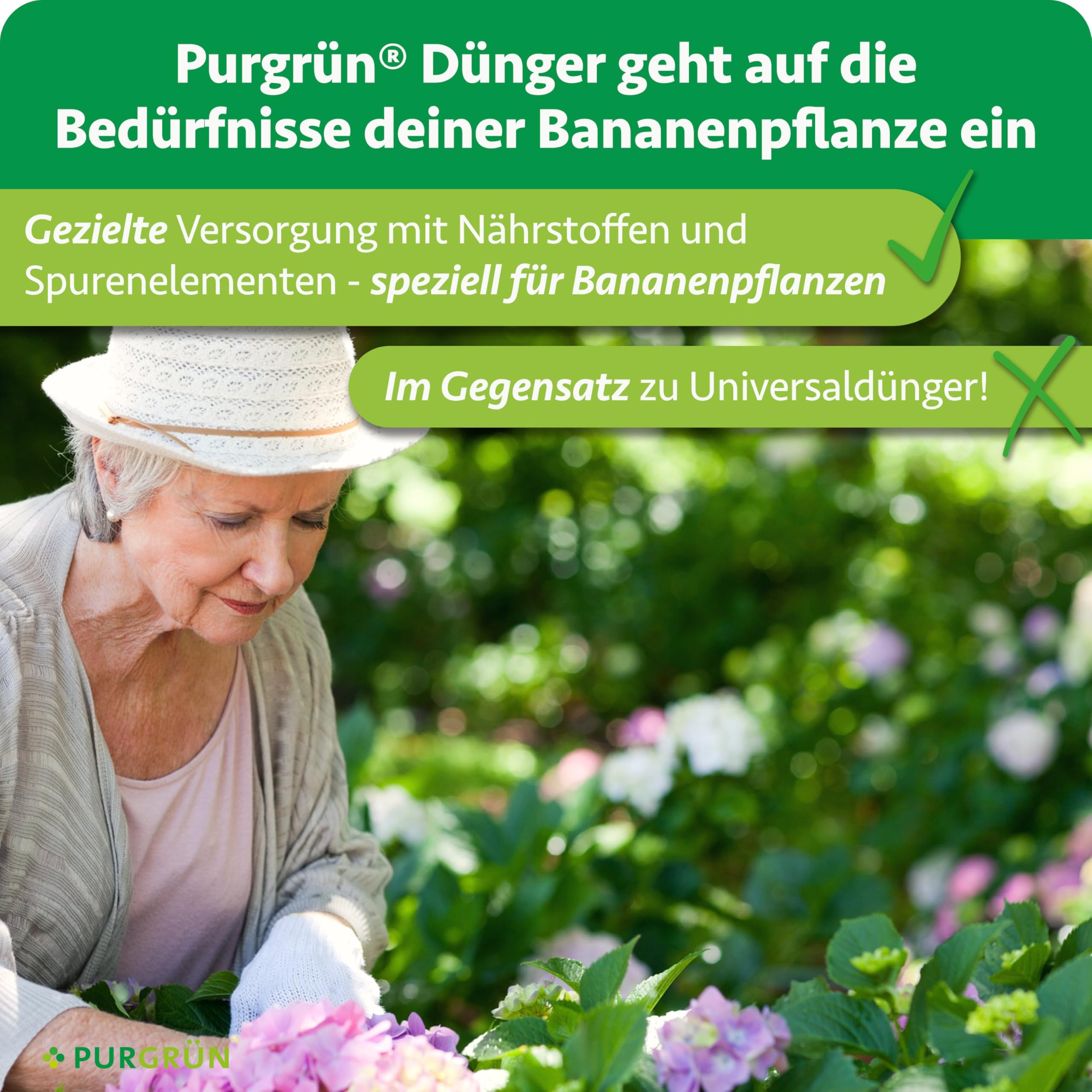 Bananen-Dünger 1 Liter – Extra Stickstoff für schnelles Wachstum – Spurennährstoffe für intensive Blattfärbung – Ergiebiges Konzentrat für bis zu 400 Liter Gießwasser – Profi-Flüssigdünger