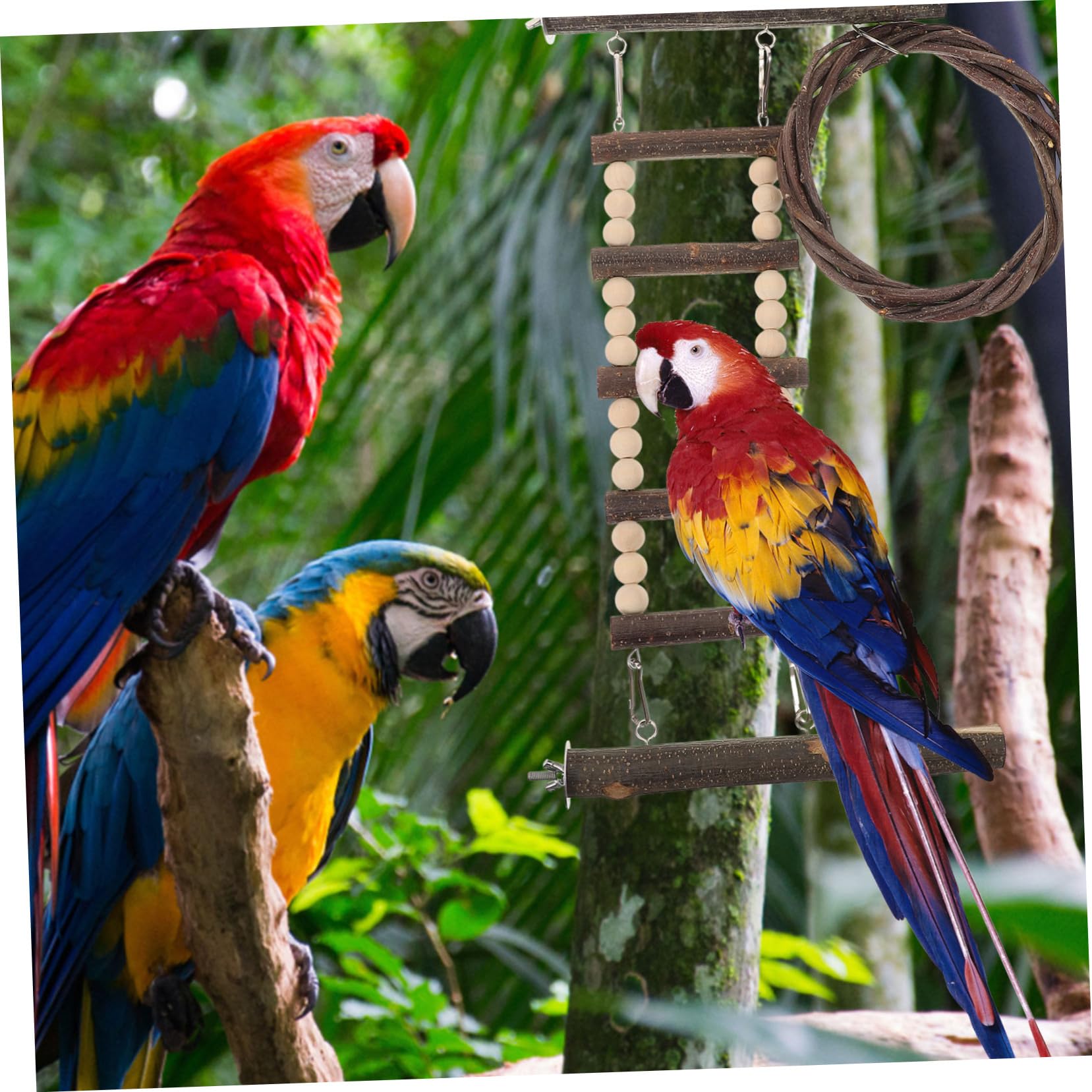 HEMOTON Parrot Training Ladder Set Bird Climbing Ladder Toy Wooden Bird Cage Accessory