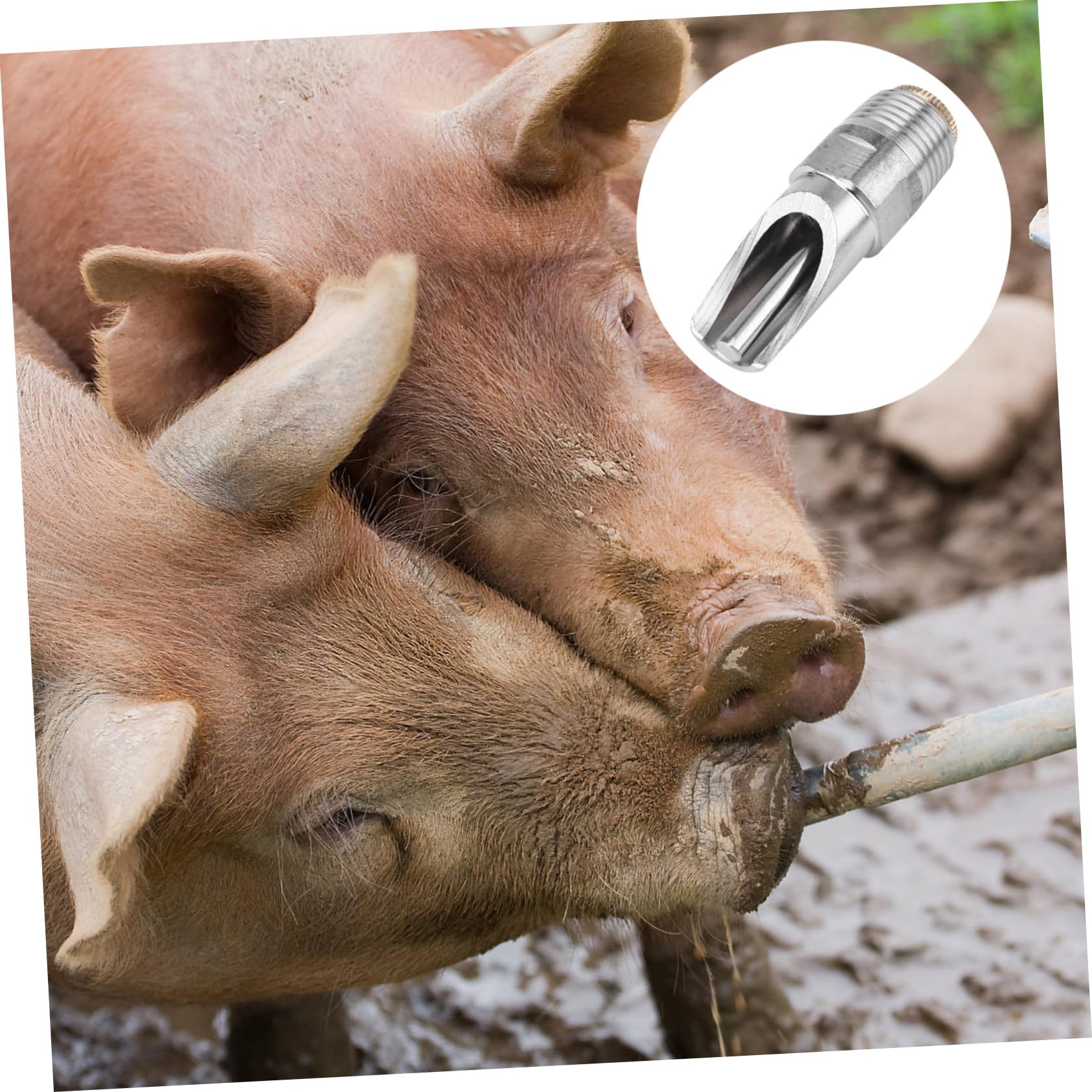 10 Stück Teiliges Schweine Tränkenippel aus Dickem Edelstahl Automatischer Wasserspender mit Auslaufsicherem Design für Ferkel Sauen und Nutztiere Tierhaltung