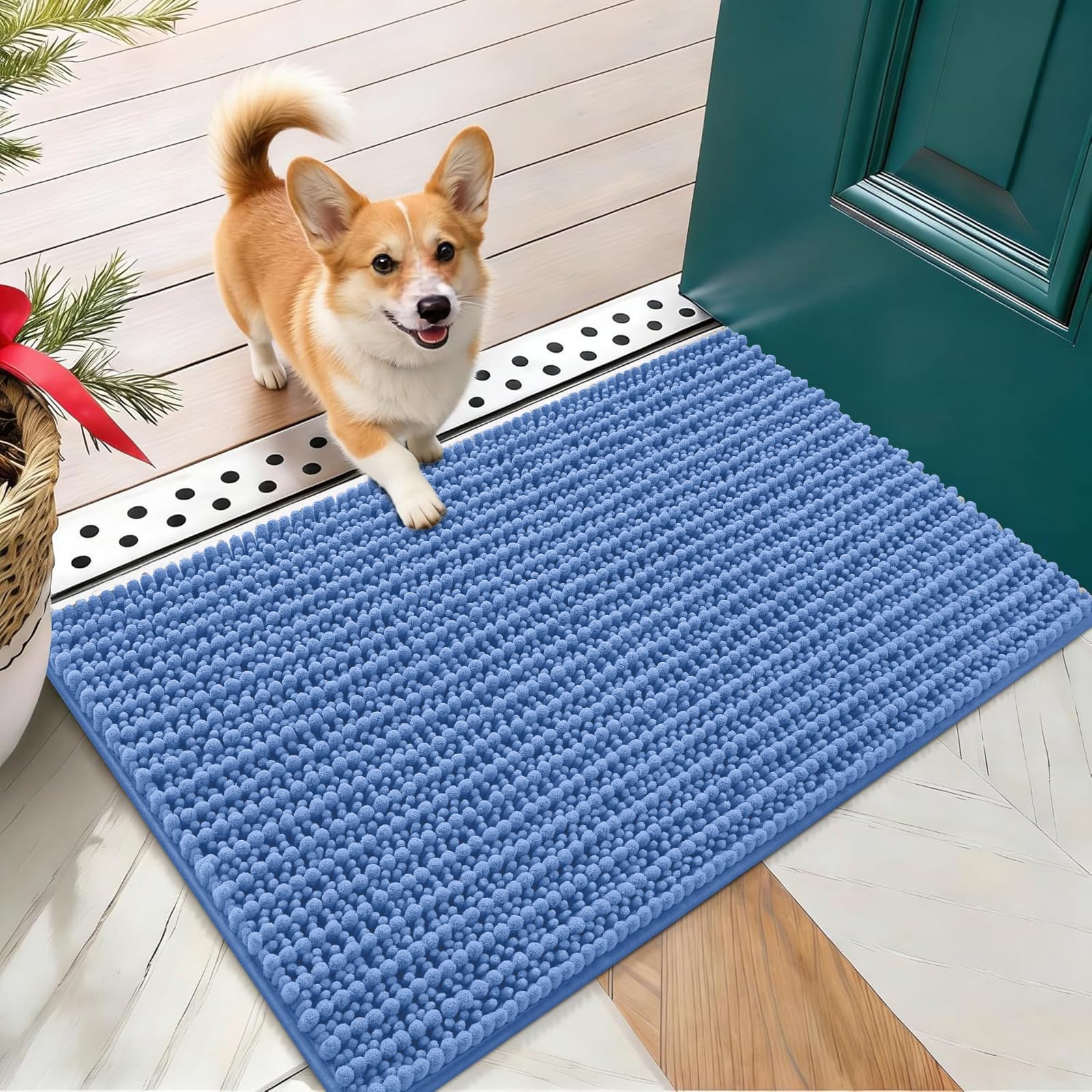 OLANLY Dog Door Mat for Muddy Paws 24x16, Ultra-Absorbent Chenille Mud Mat