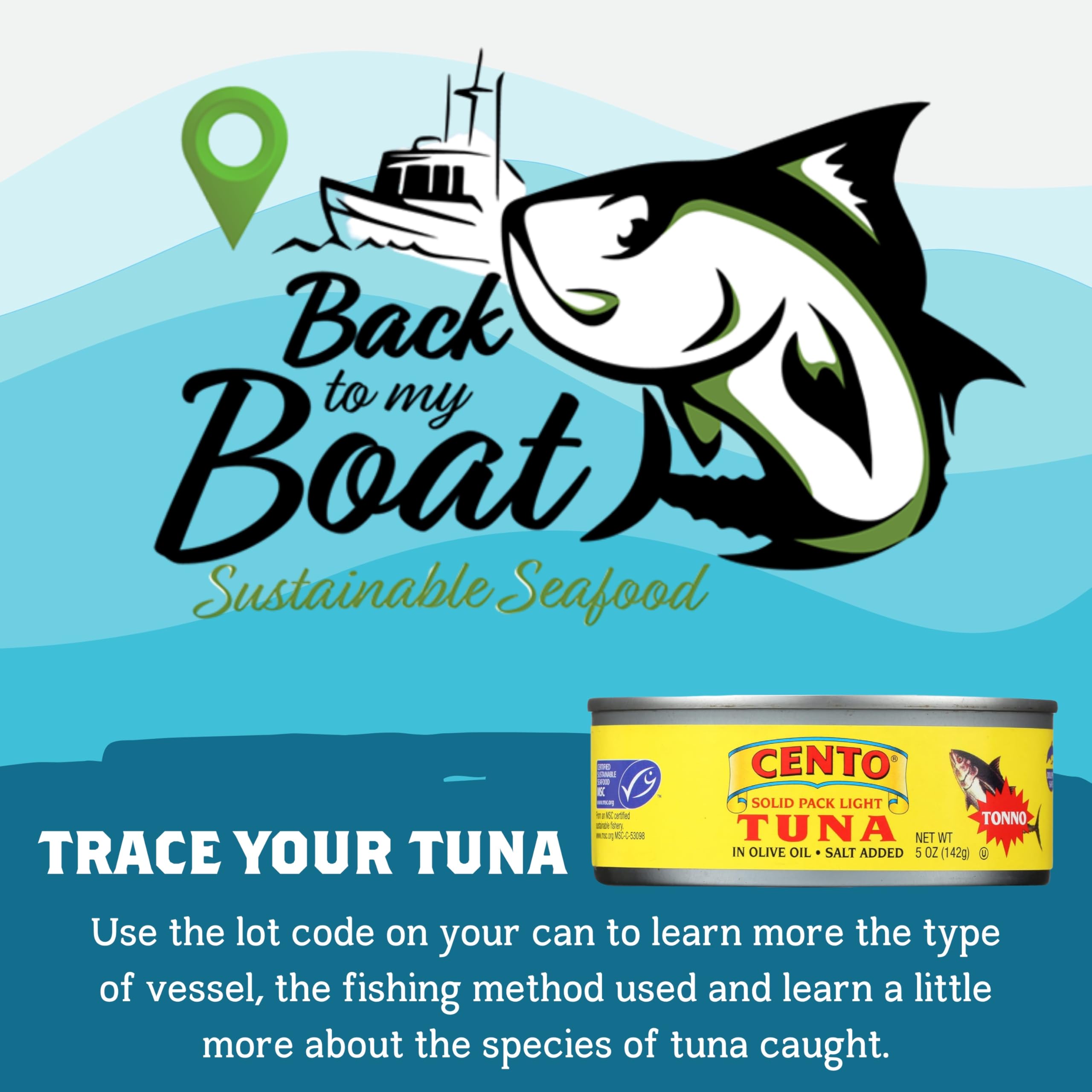 Cento Solid Pack Light Tuna in Olive Oil, 5 Oz (Pack of 24), High Protein, MSC Certified, Wild Caught Tuna Fish