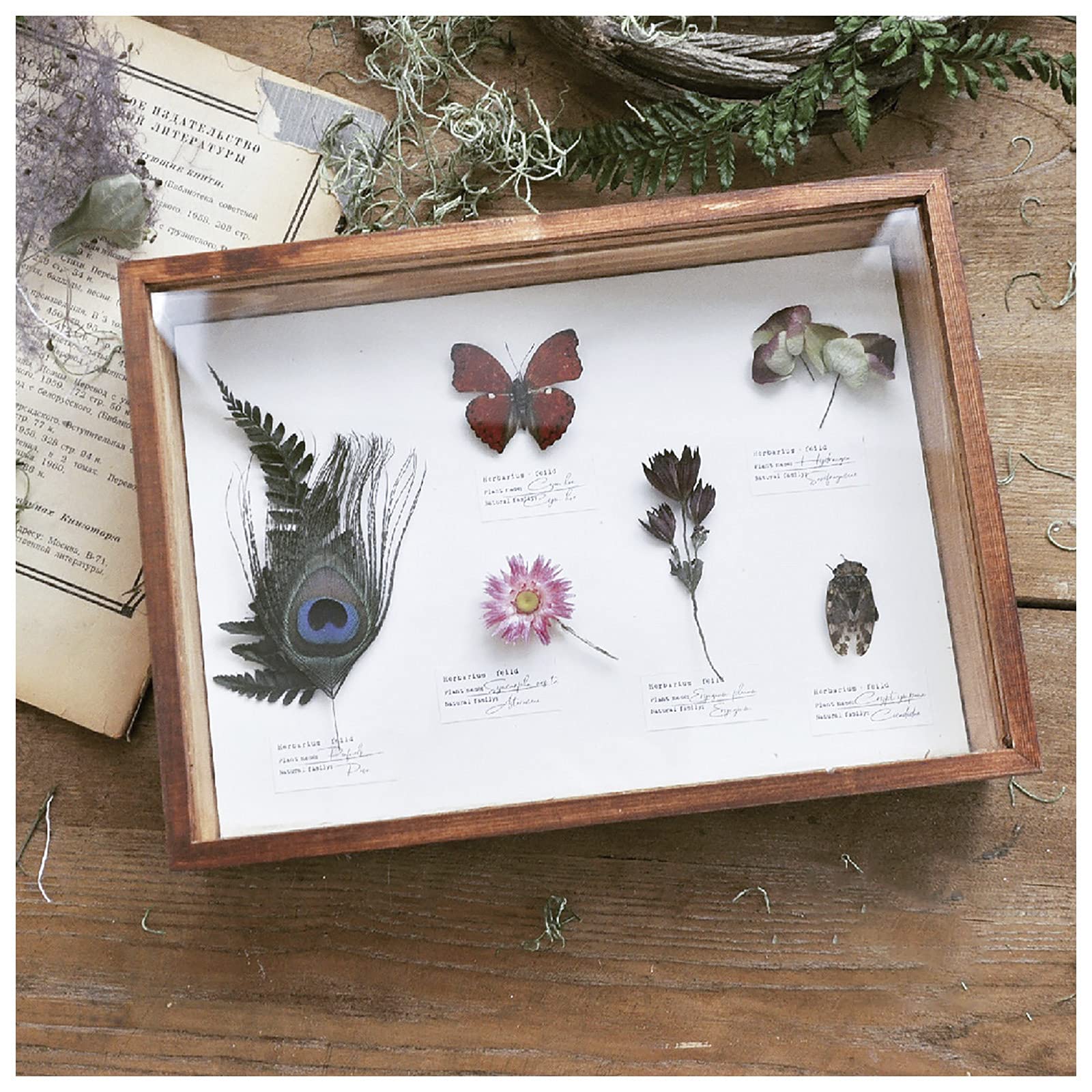 Anlagen Insektenproben Dekorative Malerei Ornamente, Handgefertigte Probenrahmen, Trockener Blumenrahmen Schmetterling Insektenkasten,B
