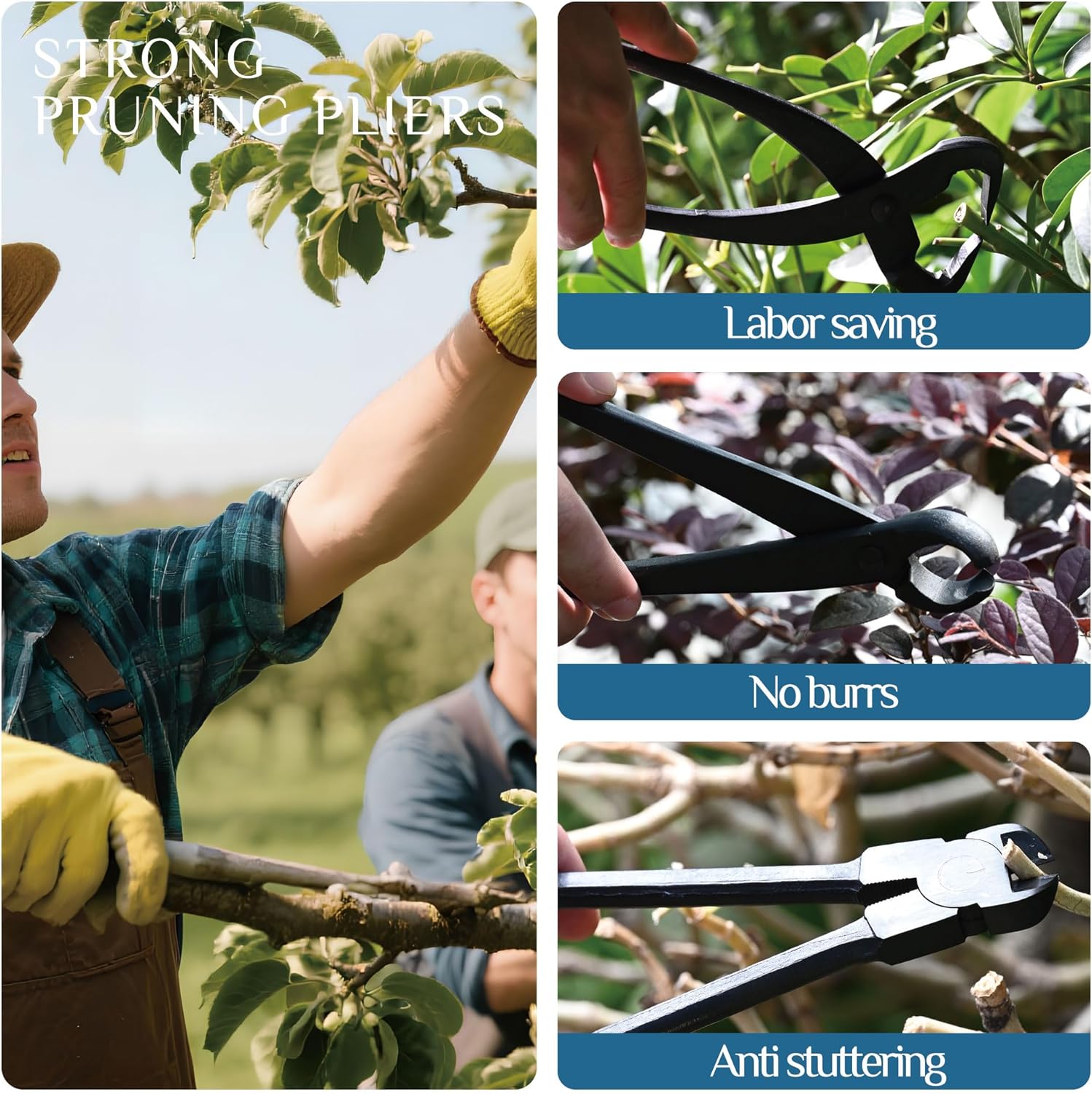 14-Piece Bonsai Tree Kit, Bonsai Tool Set, Carbon Steel Scissors Cutter Shears, Perfect Gardening Trimming Pruning Tools Jin Pliers, Rake with Spatula Starter Kit