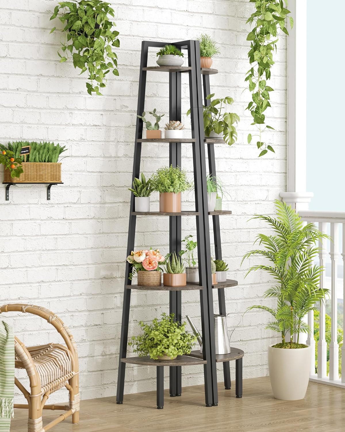 https://m.media-amazon.com/images/I/81o2AIO3+XL._AC_SL1500_.jpg
