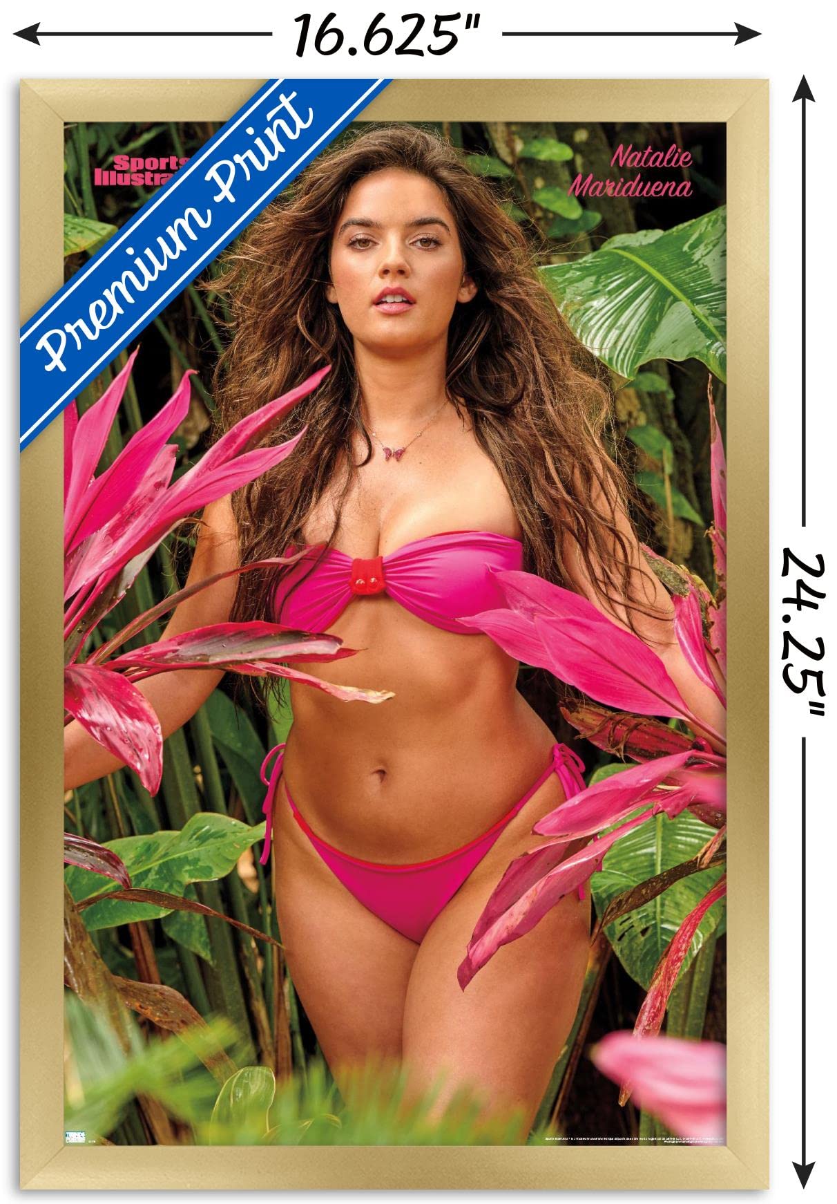 Amazon.com: Trends International Sports Illustrated: Swimsuit