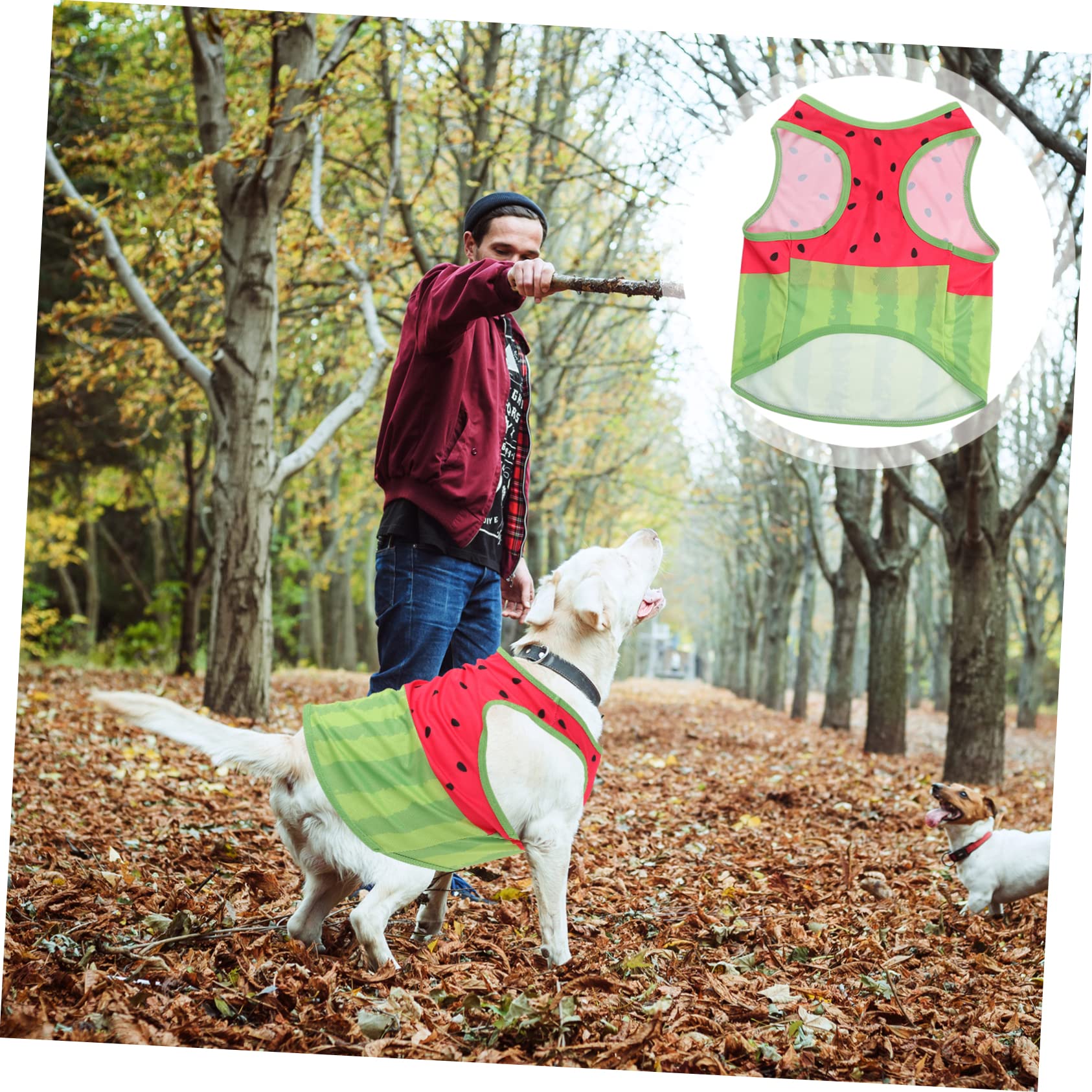 Gilet Rafraîchissant pour Chien Motif Pastèque, Taille L, Soie | Chiens, Fortes Chaleurs, Coupe Confortable, Facile à Enfiler Retirer, Style Adorable