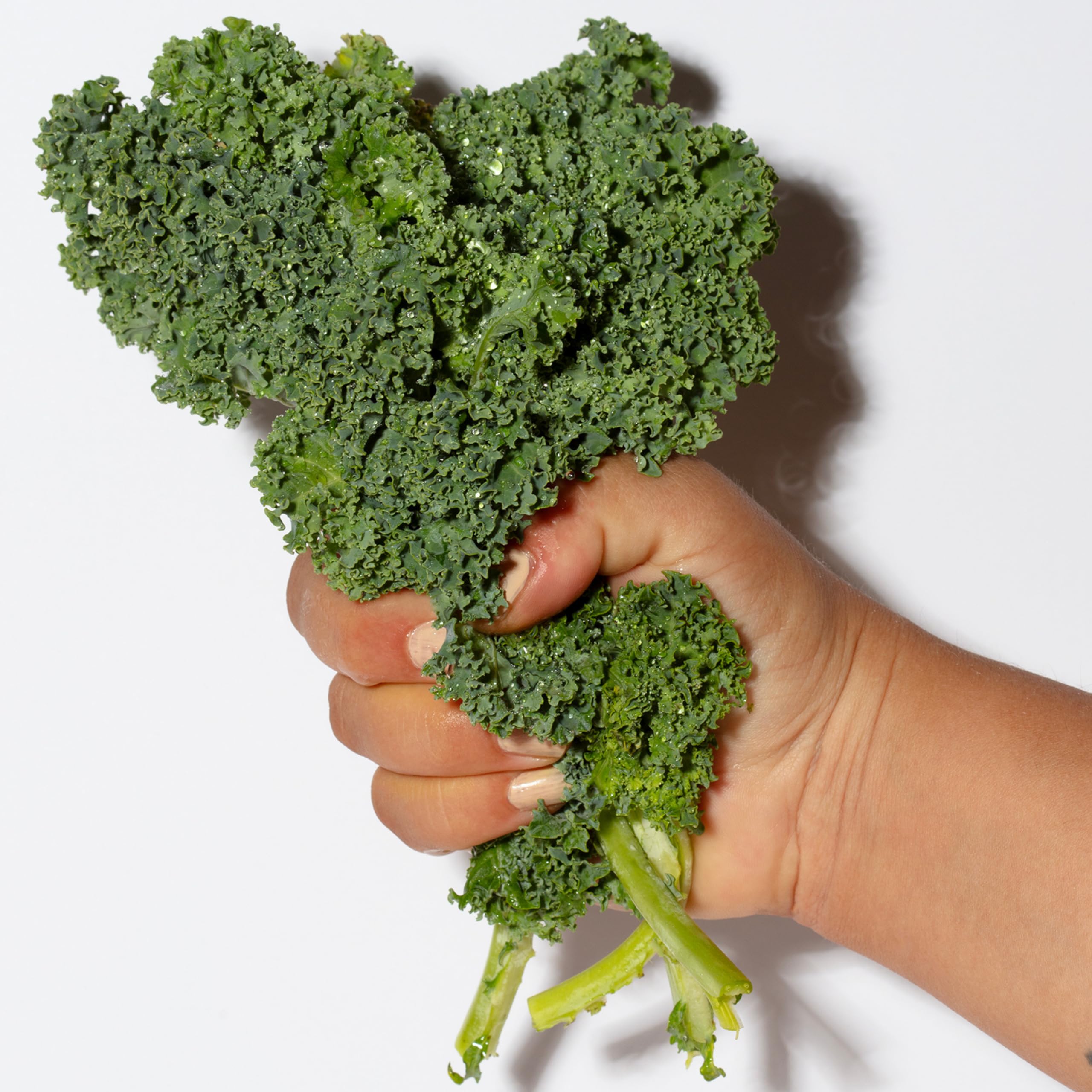 Pacifica Kale Yeah! Redness Rehab Serum – Niacinamide & Super Greens Face Serum to Calm Redness, Minimize Pores & Oil, Soothing Anti-Redness for Oily/Combination Skin Vegan Dermatologist Tested