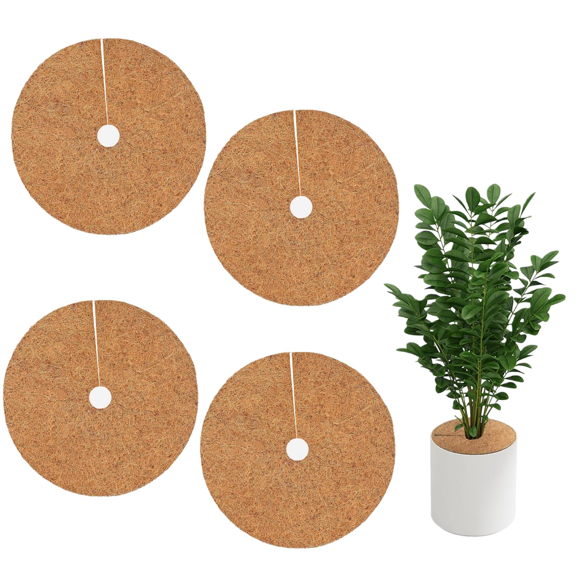 Coconut Fiber Mulch Ring (4 Pack)