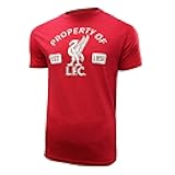 Official Liverpool FC Cotton T-Shirt - Unisex Adult