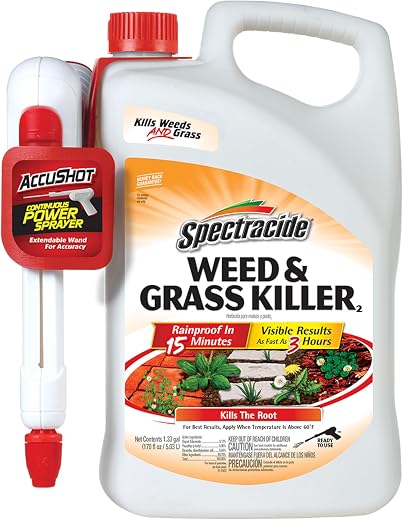 Weed & Moss Control