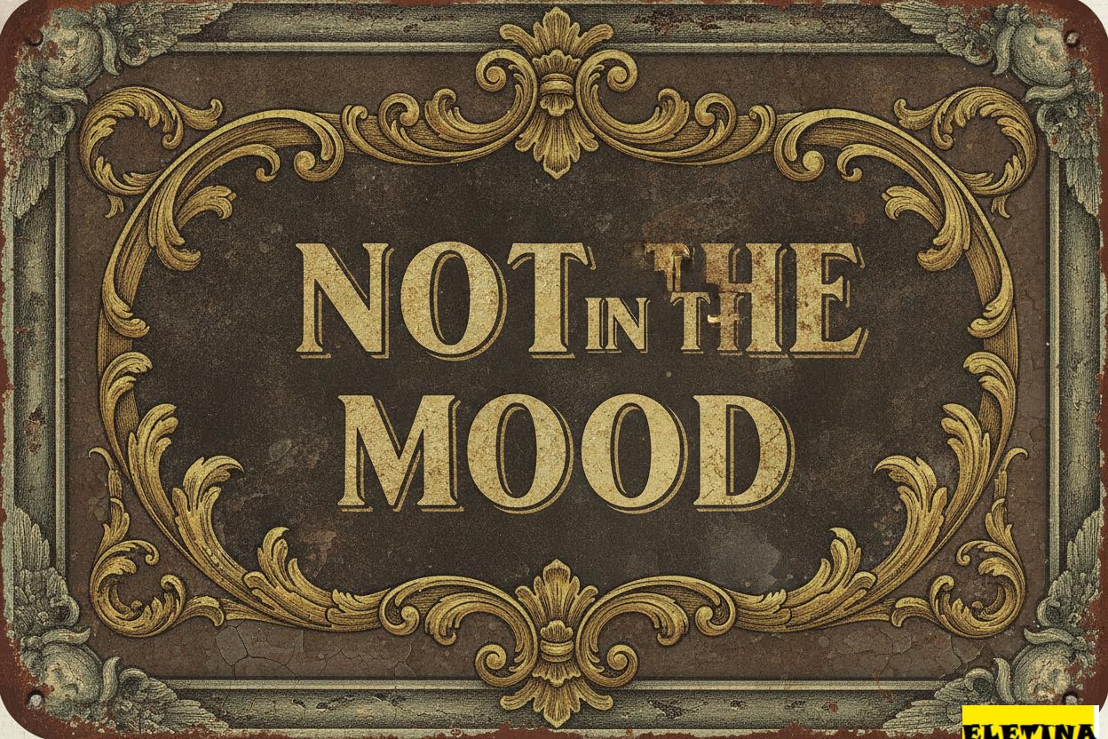 Personalized Sign for Man Cave Vintage Not In The Mood Street Wall Decor Metal Tin S Bedroom,16x4 Inch Aluminium Private Property Decorative