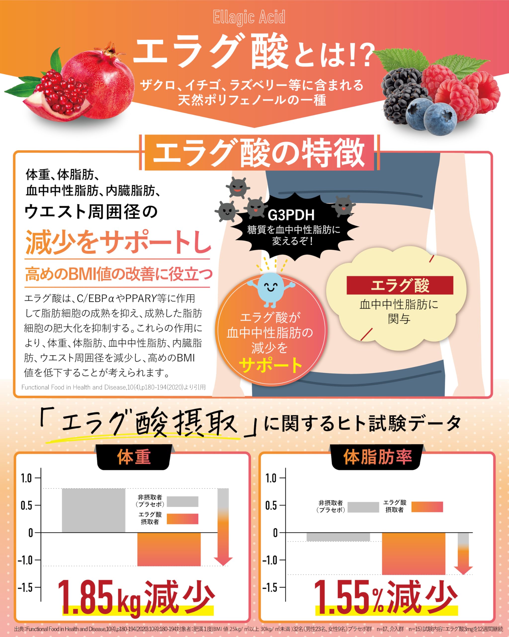 9袋　カロリンピュア 30日 肥満 体脂肪 ダイエット 糖質 内臓脂肪 Amazon | カロリンピュア 30日分 サプリ 肥満気味の方の体重 体脂肪 血