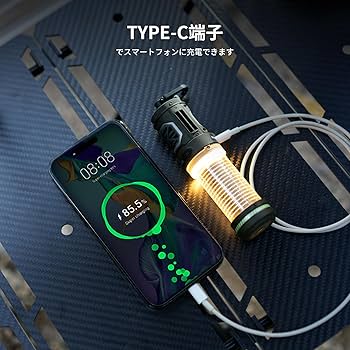 Amazon.co.jp: FLEXTAILGEAER TINY REPELLER 蚊取り 蚊よけ