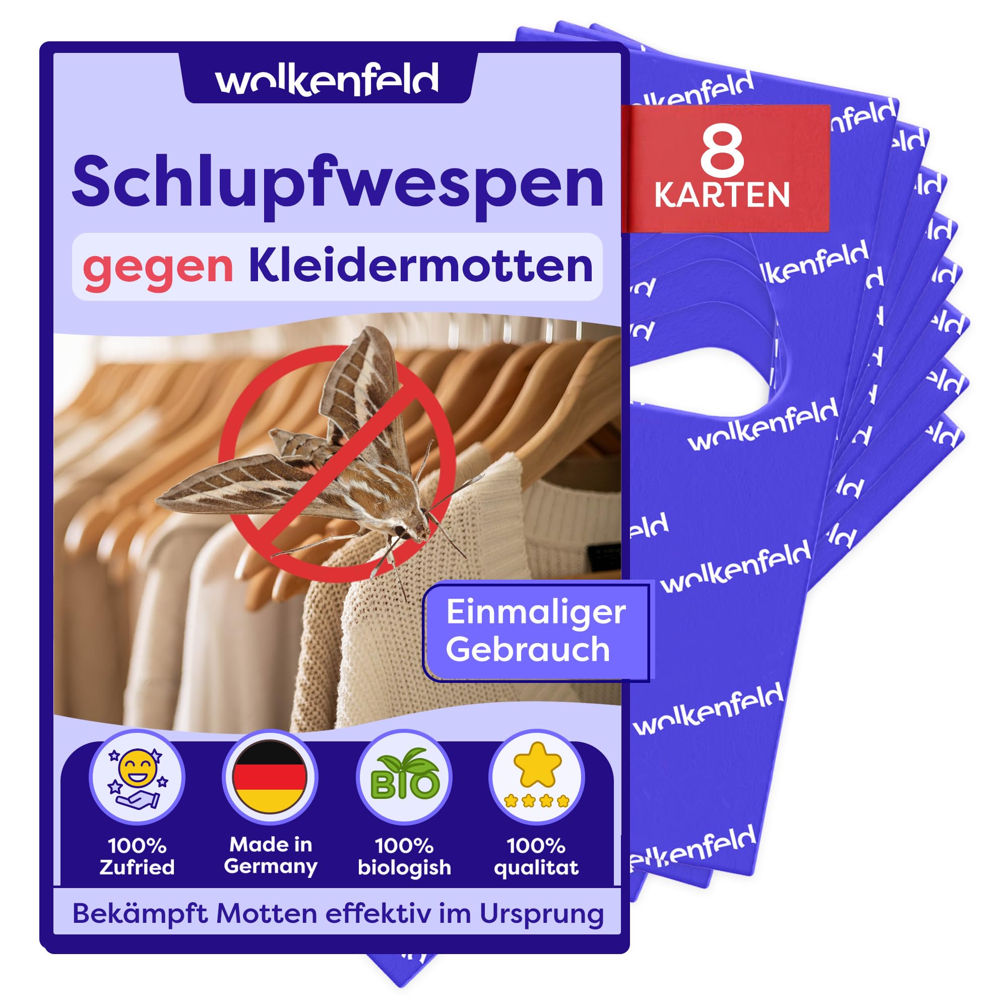 Wolkenfeld