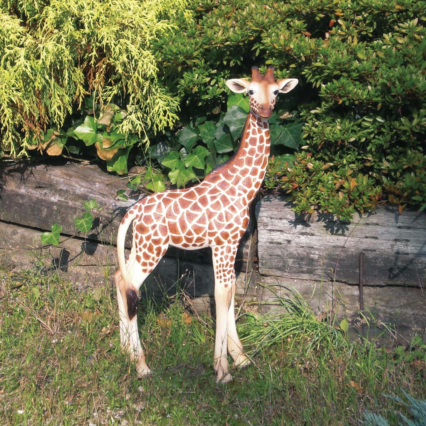 Amazon.co.jp: キリンの置物 : ホーム＆キッチン